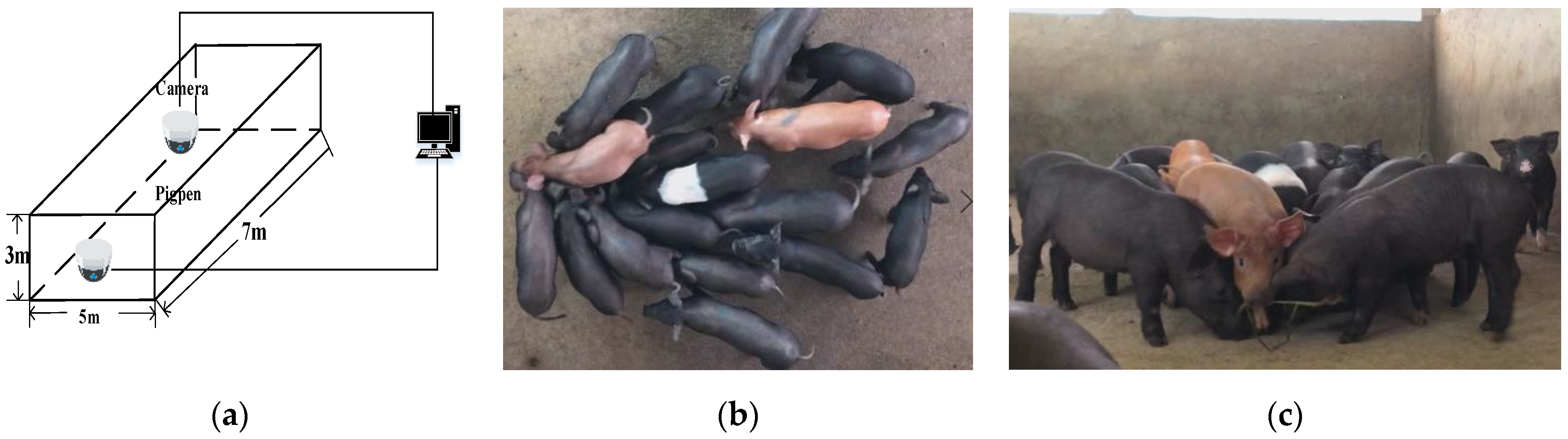 Sensors 21 03251 g001 Sensors 21 03251 g001