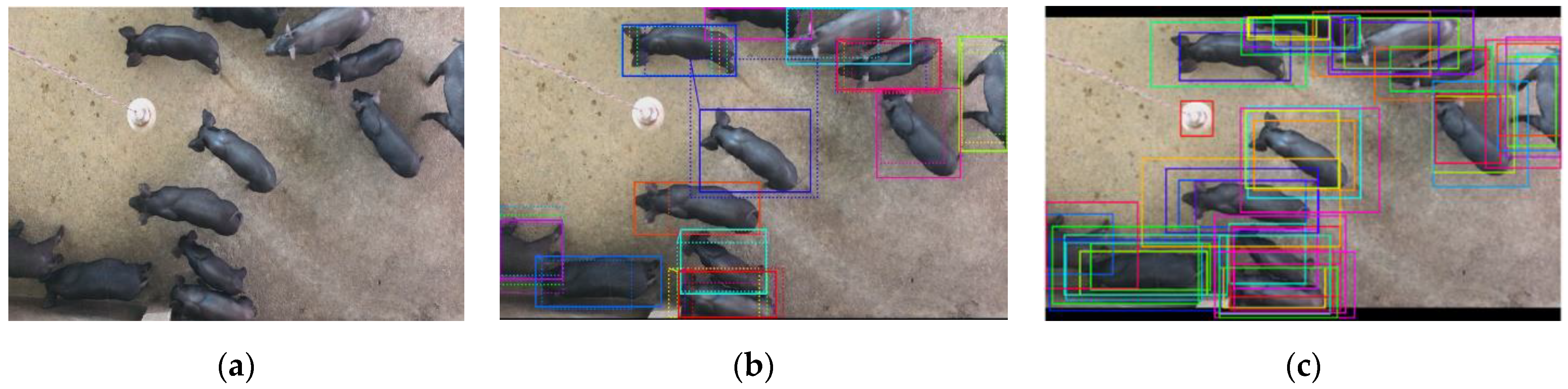 Sensors 21 03251 g005 Sensors 21 03251 g005