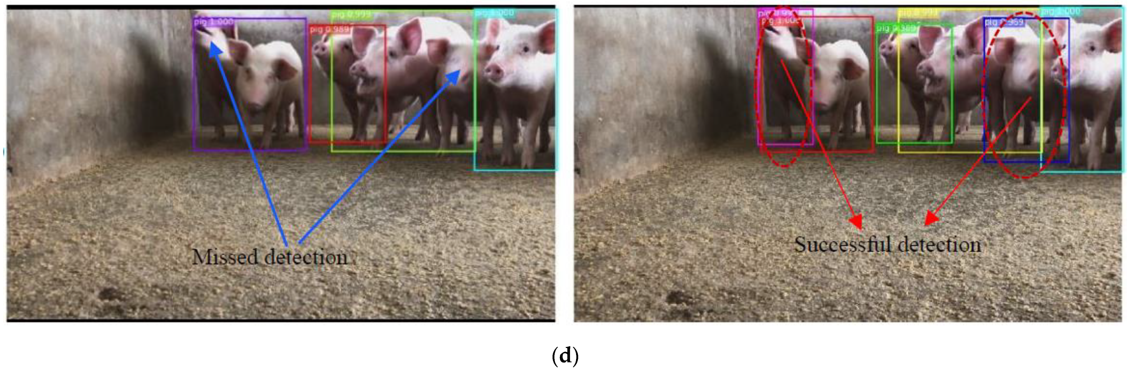 Sensors 21 03251 g012b Sensors 21 03251 g012b