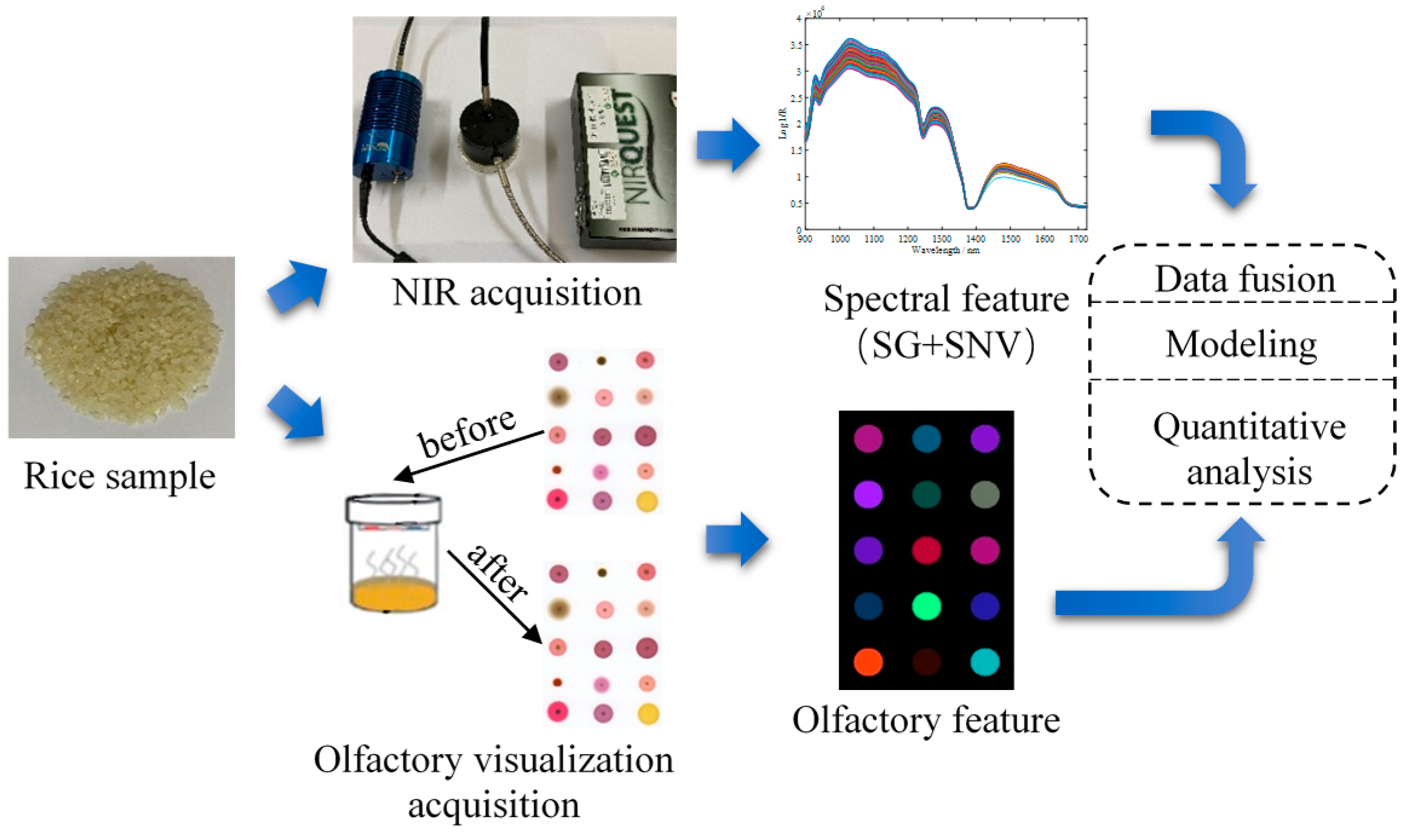 Sensors 21 03266 g001