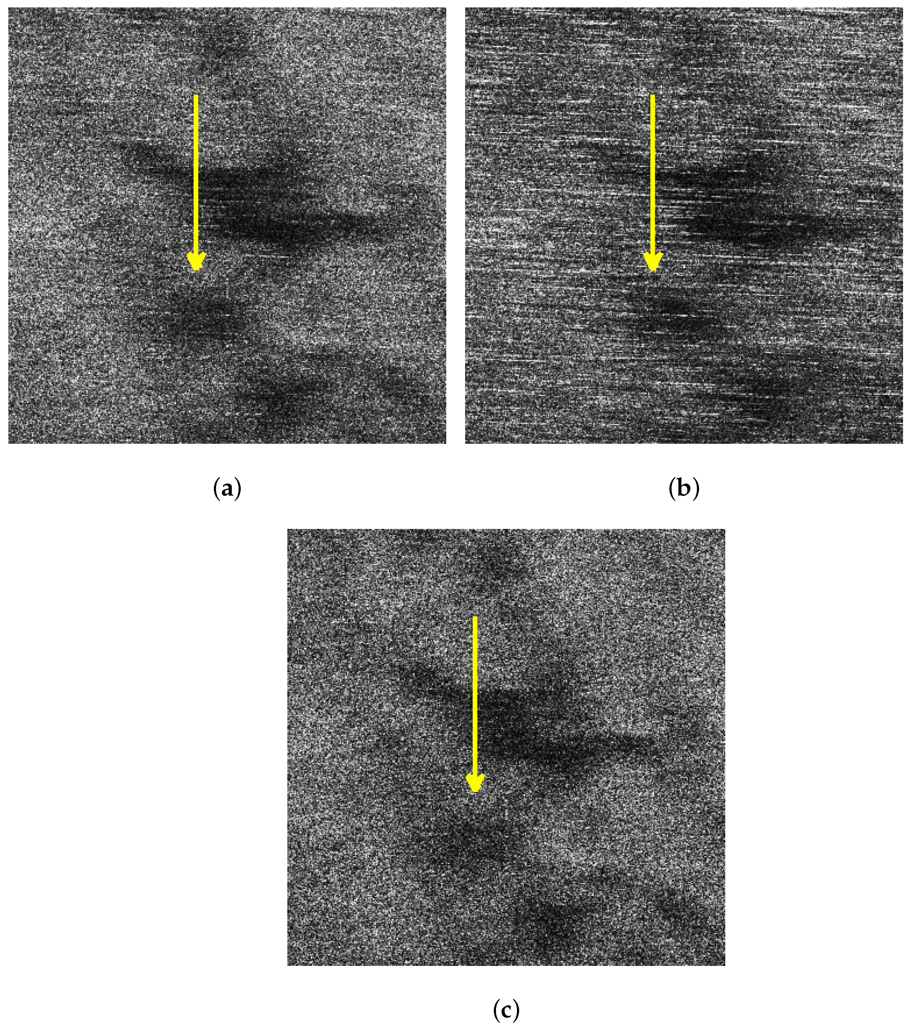 Sensors 21 03269 g012
