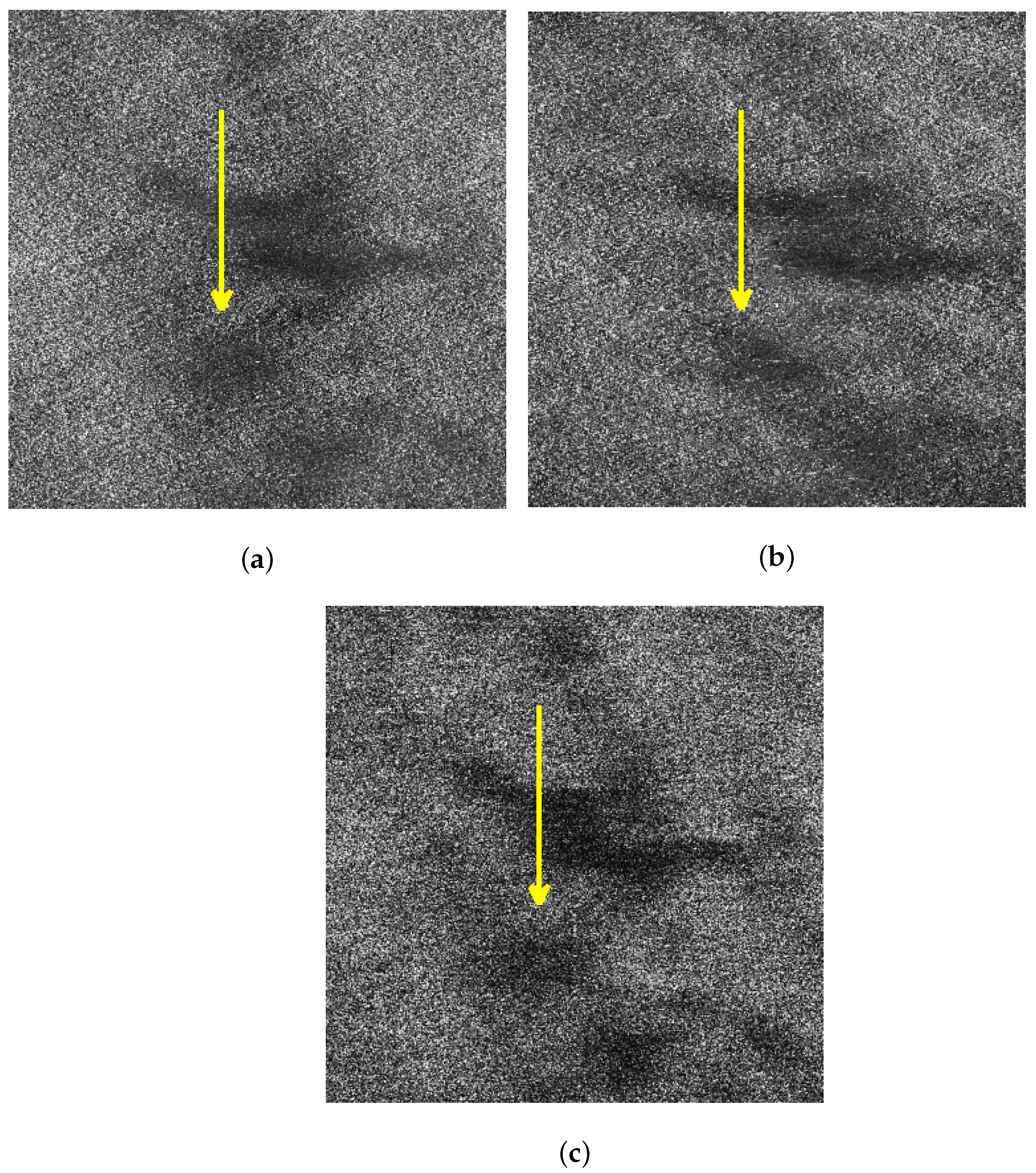 Sensors 21 03269 g017