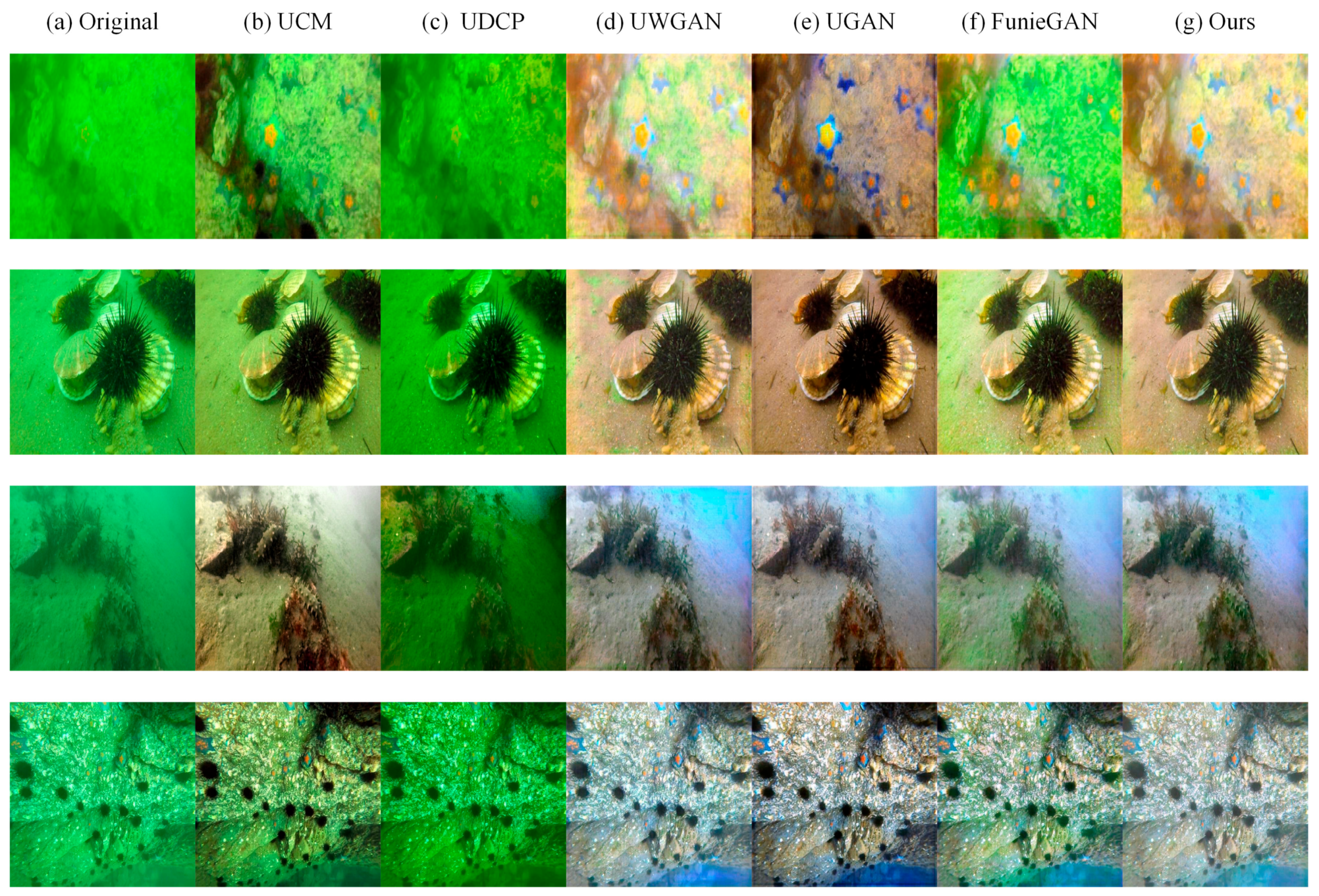 Sensors 21 03289 g007 Sensors 21 03289 g007