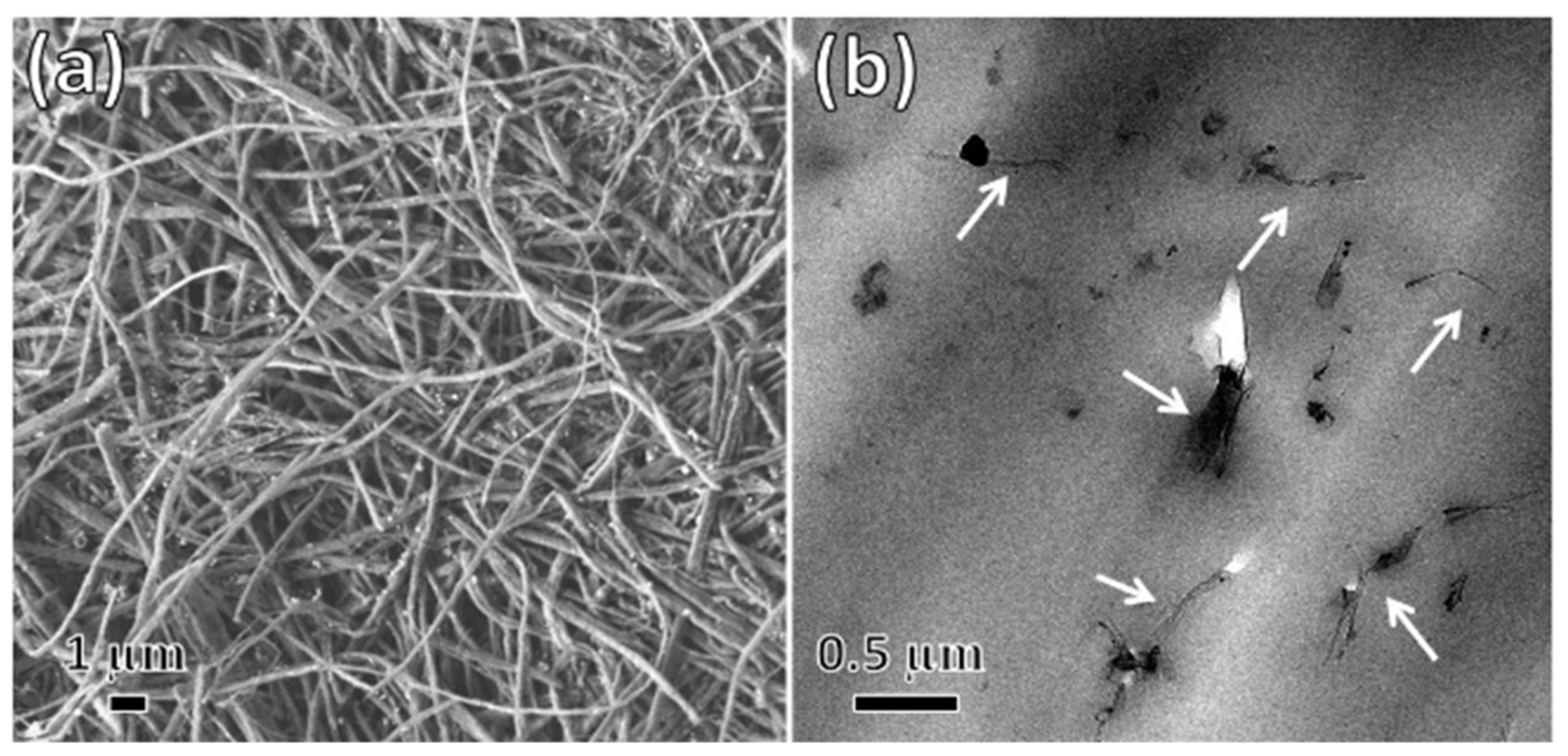 Sensors 21 03291 g008 Sensors 21 03291 g008