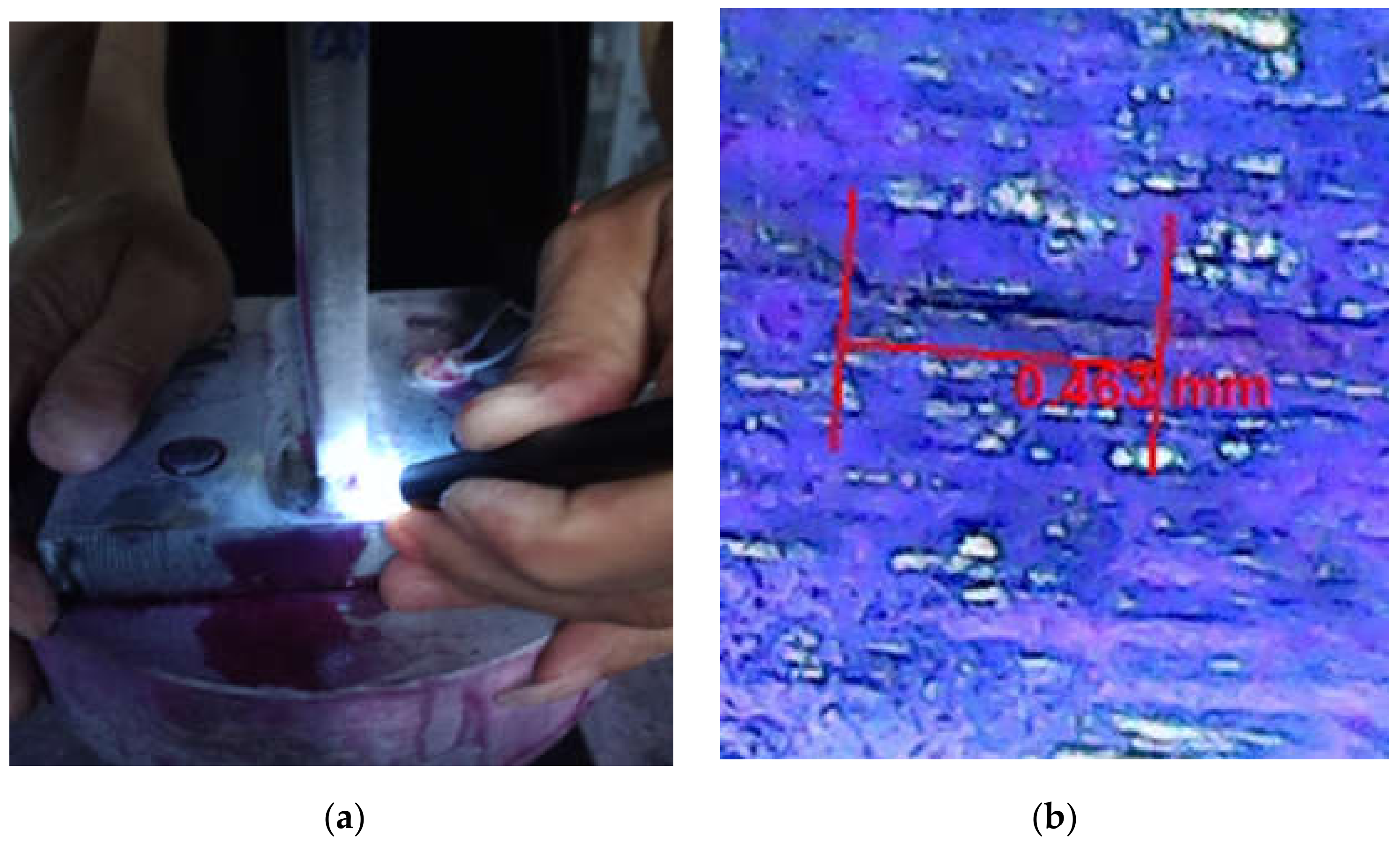 Sensors 21 03294 g007a