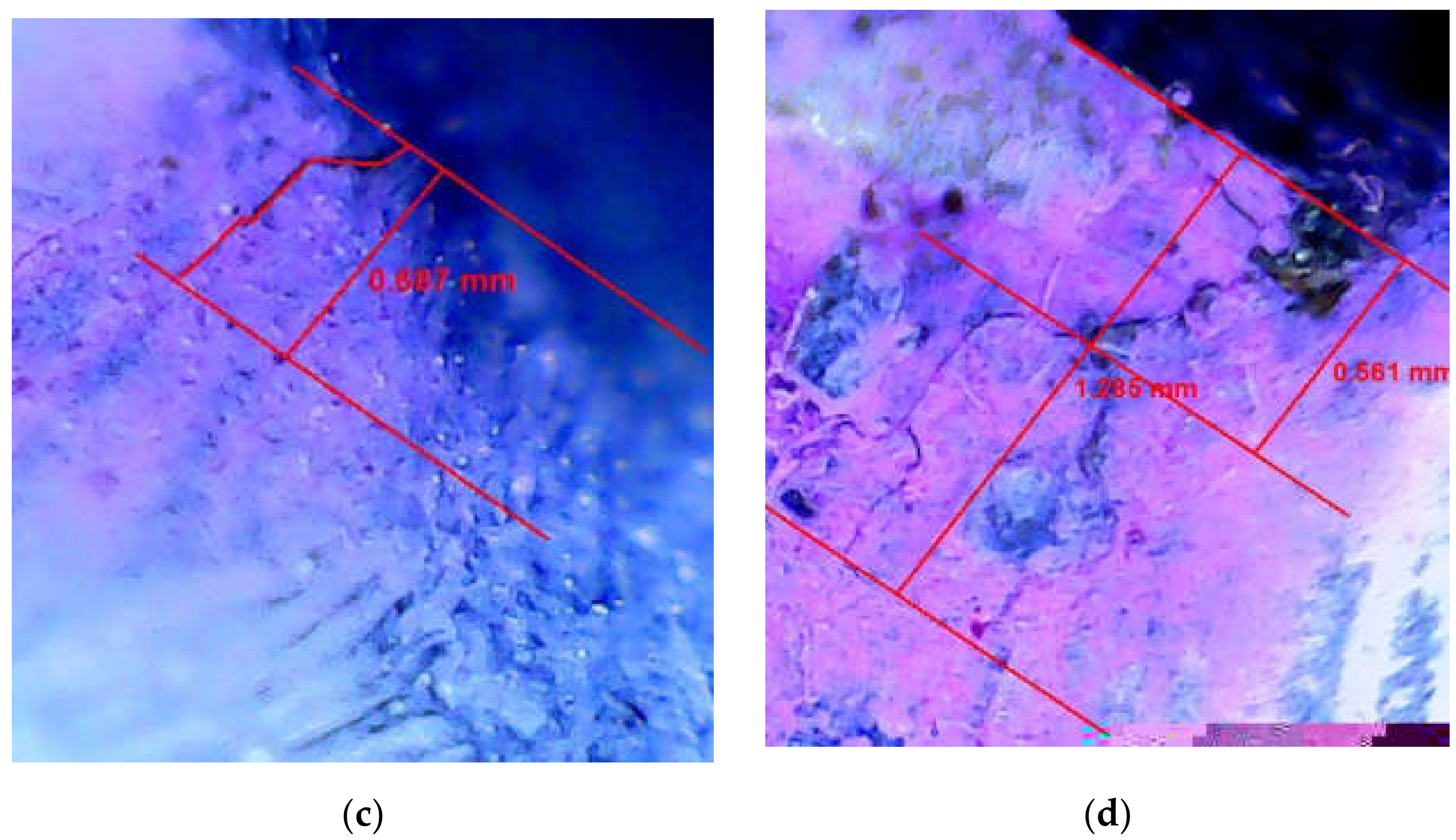 Sensors 21 03294 g007b