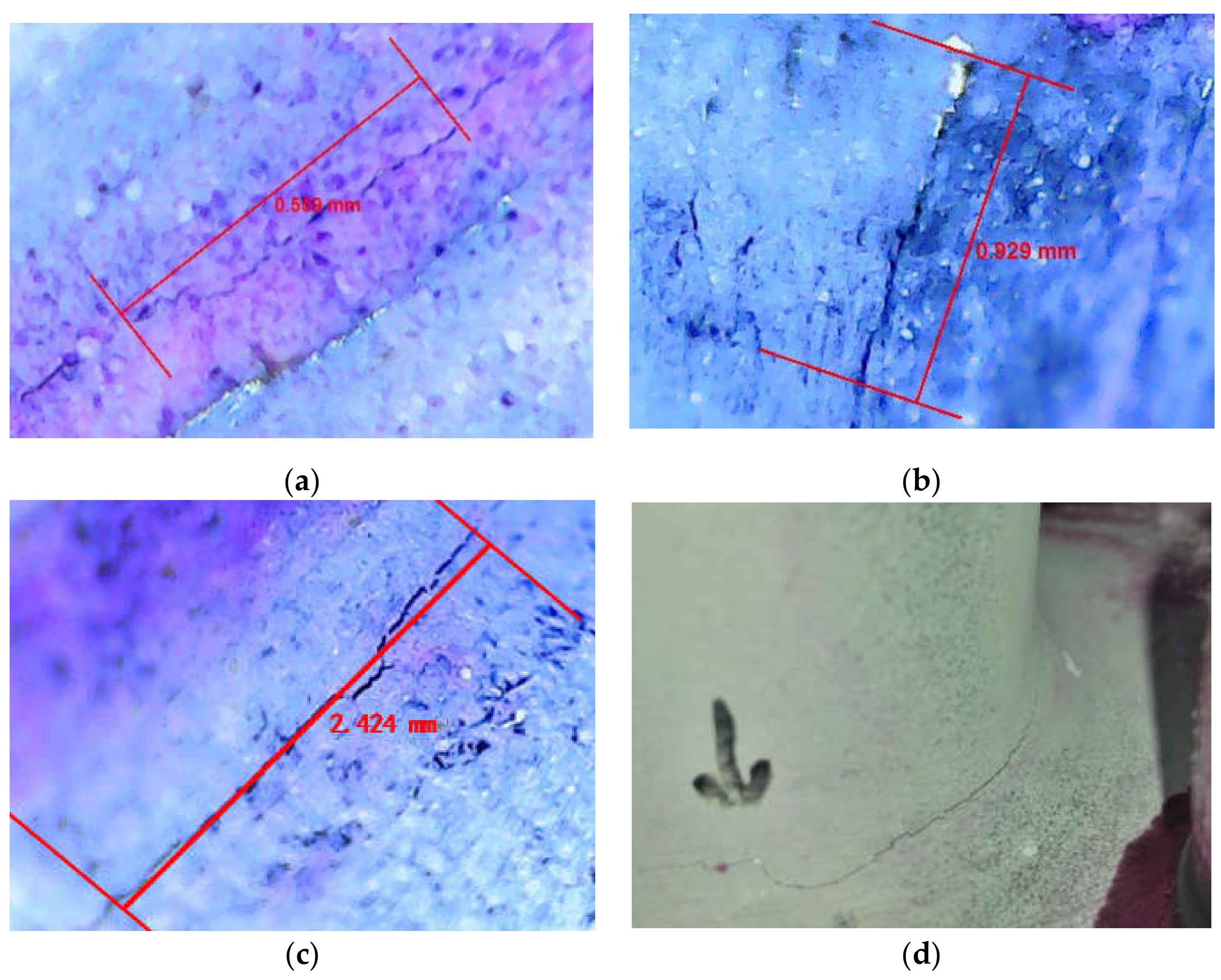 Sensors 21 03294 g009
