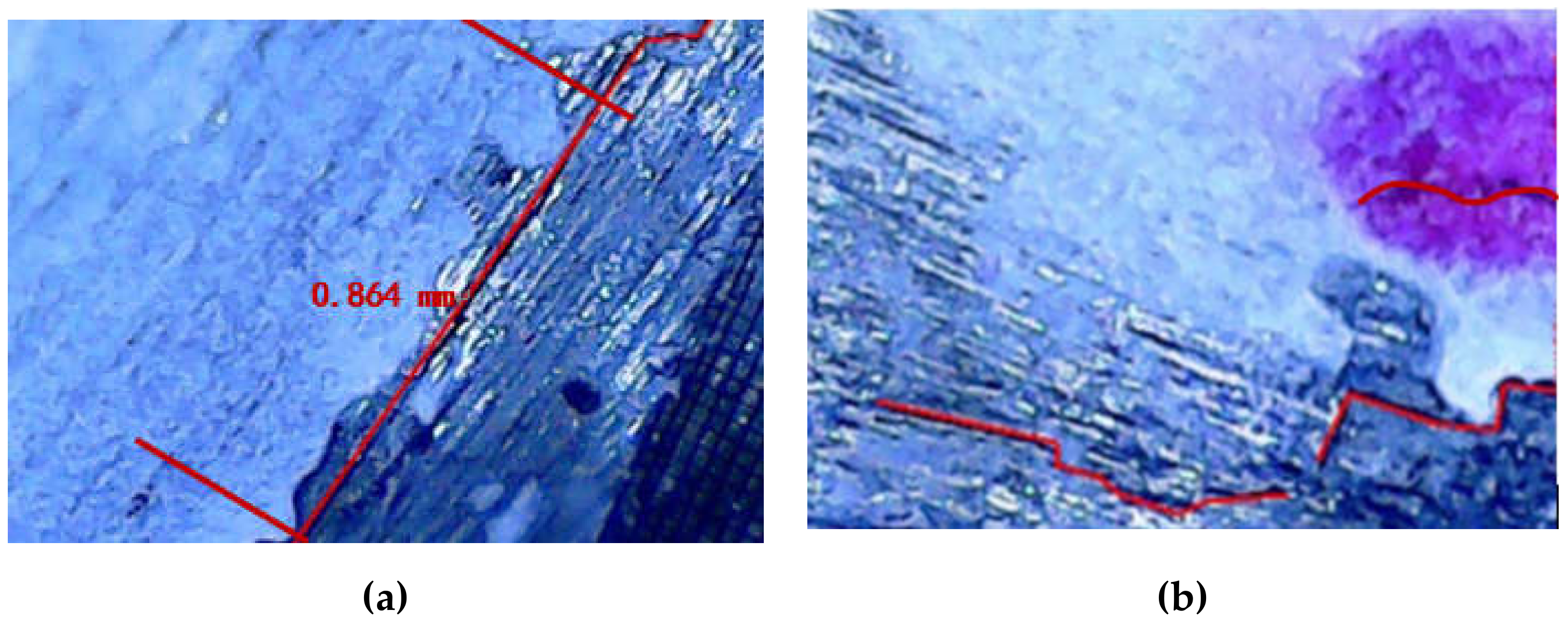 Sensors 21 03294 g011