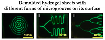 Sensors 21 03304 i001 Sensors 21 03304 i001