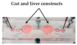 Sensors 21 03304 i003 Sensors 21 03304 i003