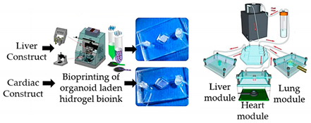 Sensors 21 03304 i010 Sensors 21 03304 i010