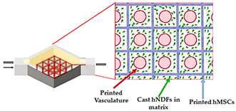 Sensors 21 03304 i011 Sensors 21 03304 i011