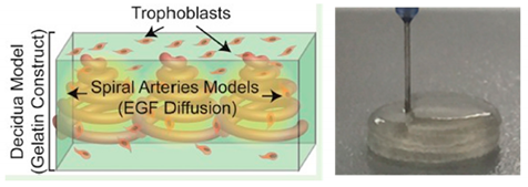 Sensors 21 03304 i024 Sensors 21 03304 i024