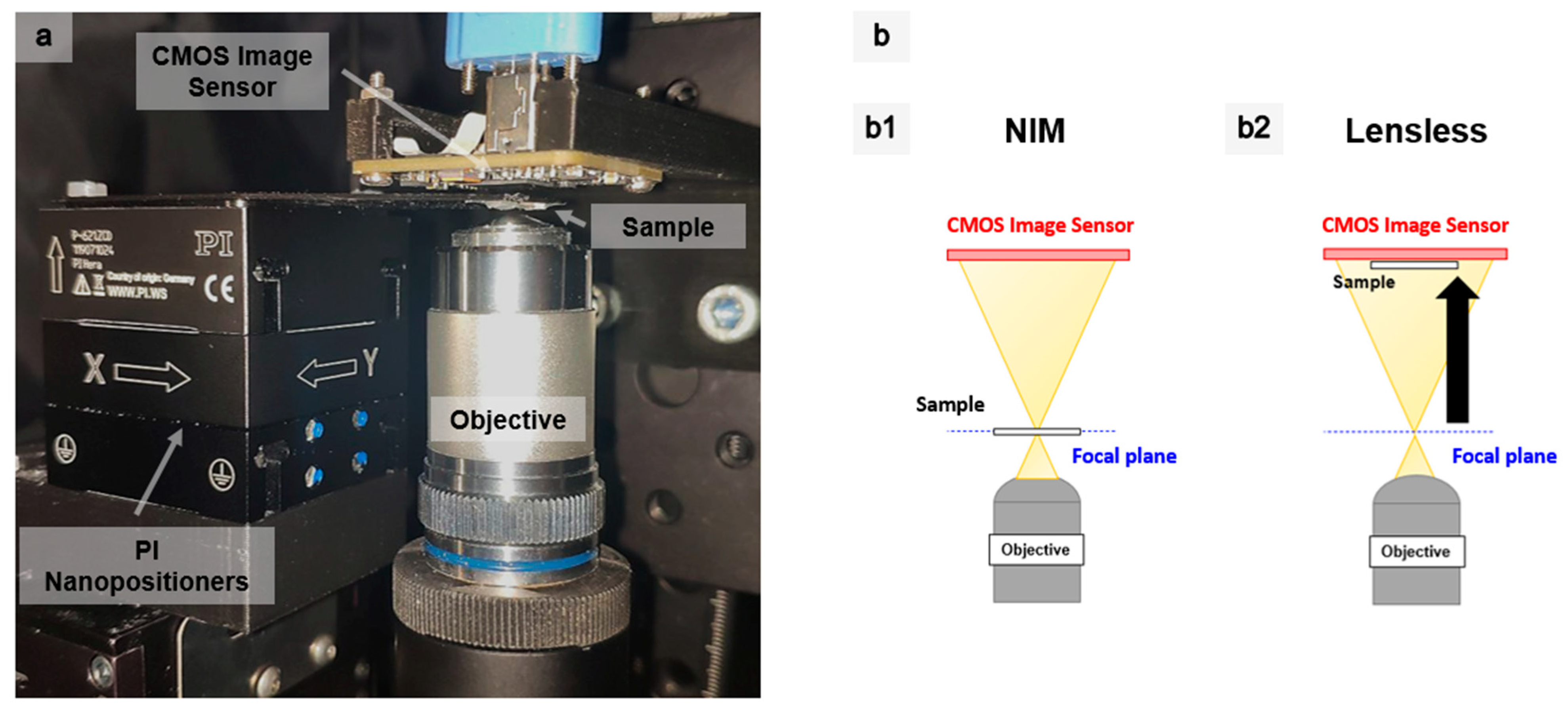 Sensors 21 03305 g002
