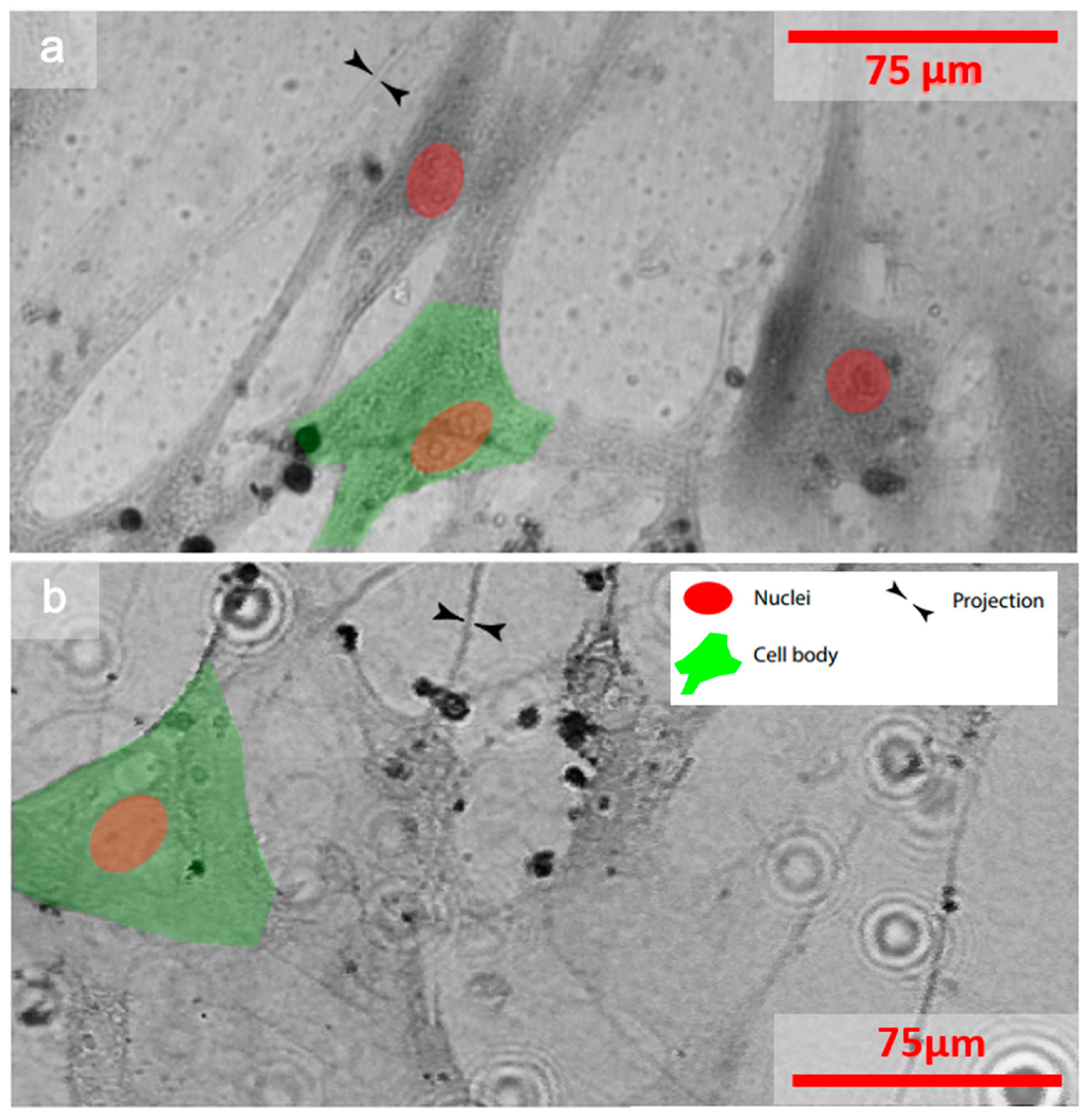 Sensors 21 03305 g006