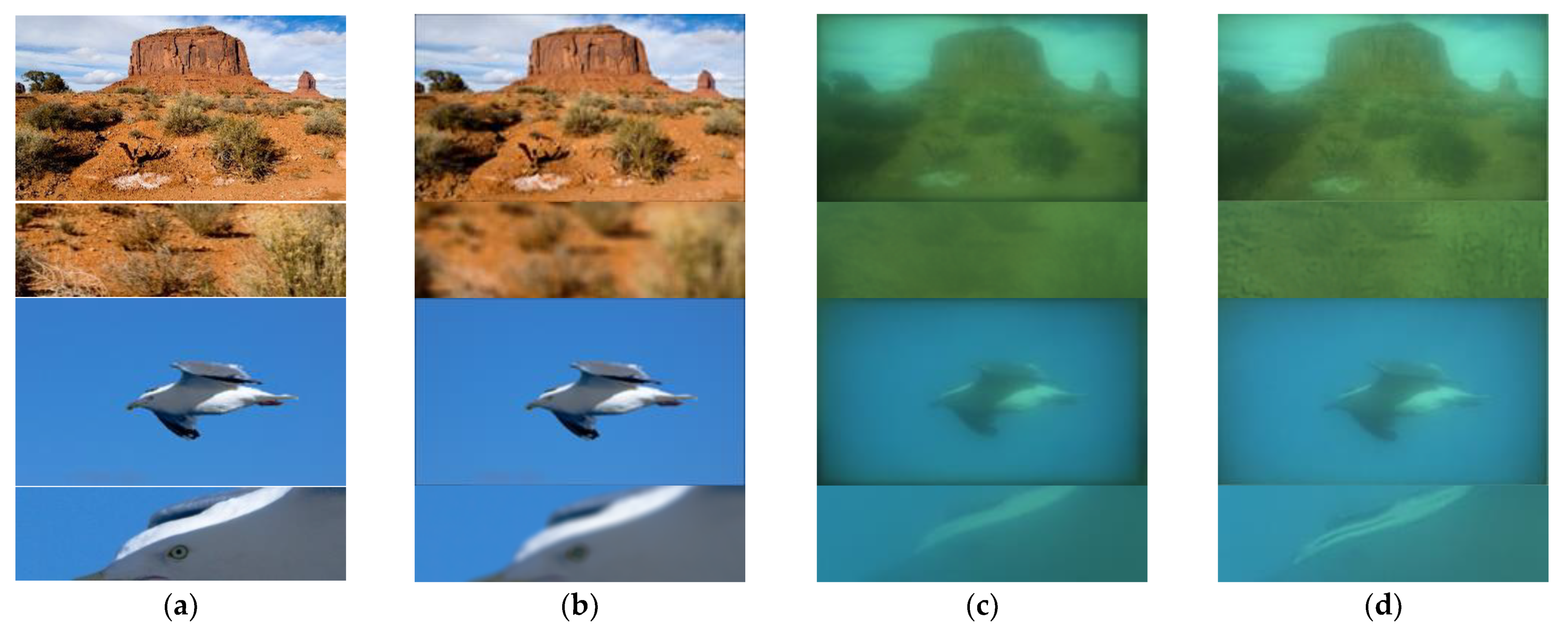 Sensors 21 03317 g007