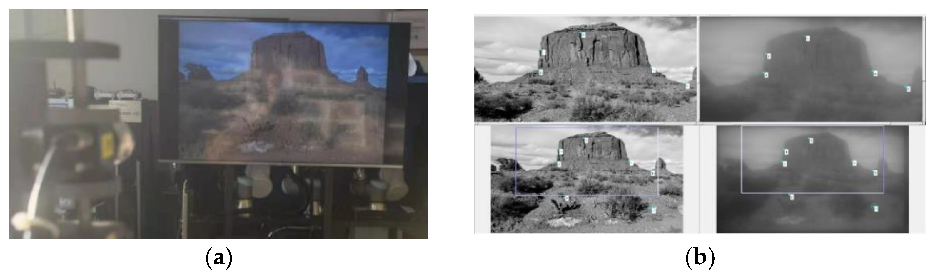 Sensors 21 03317 g008