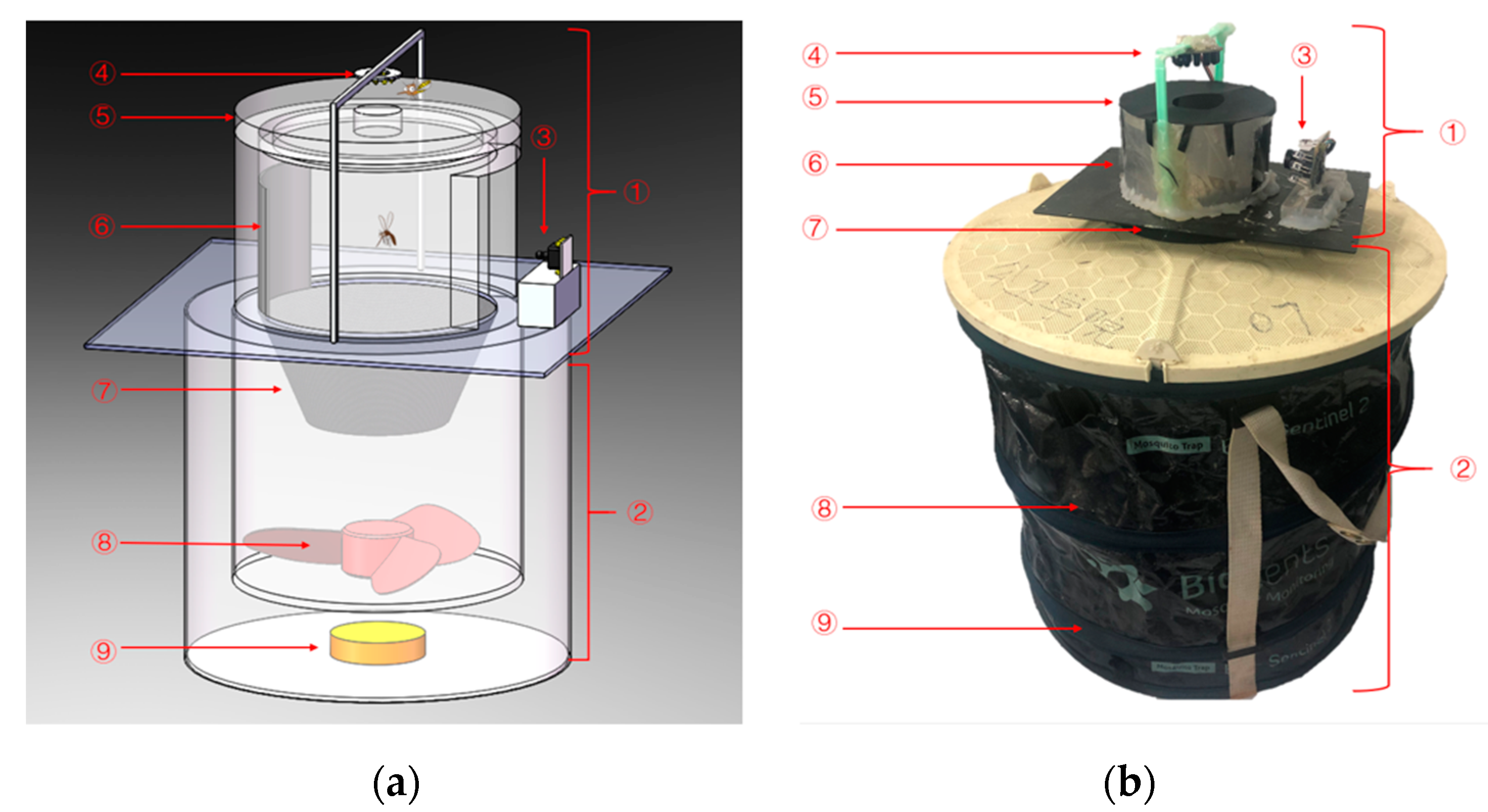 Sensors 21 03329 g001