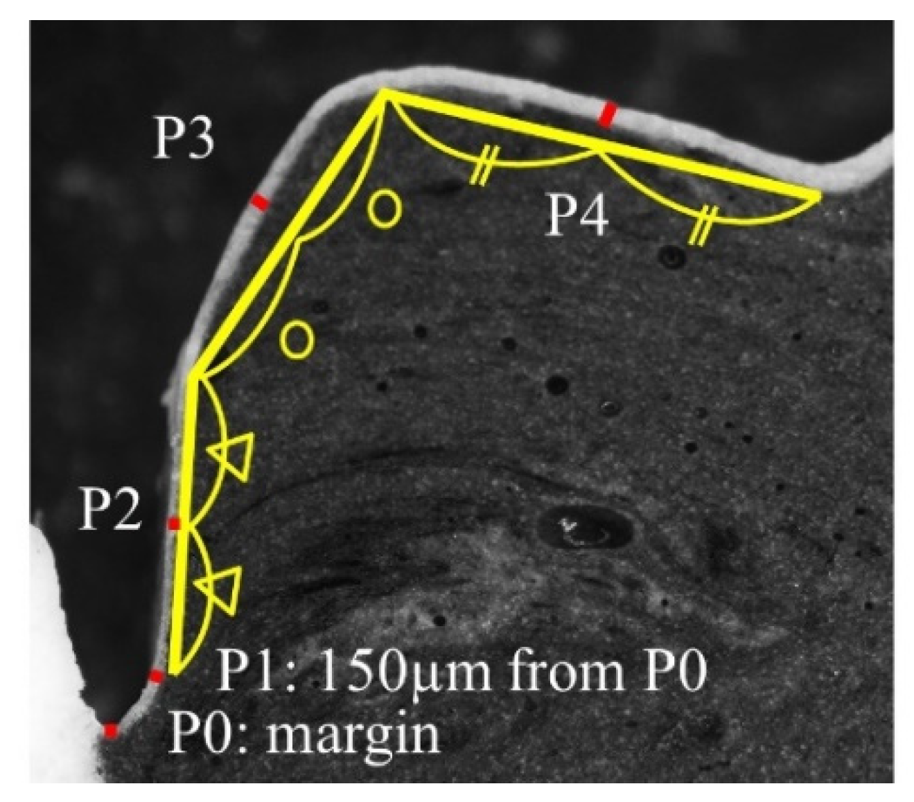 Sensors 21 03331 g002 Sensors 21 03331 g002