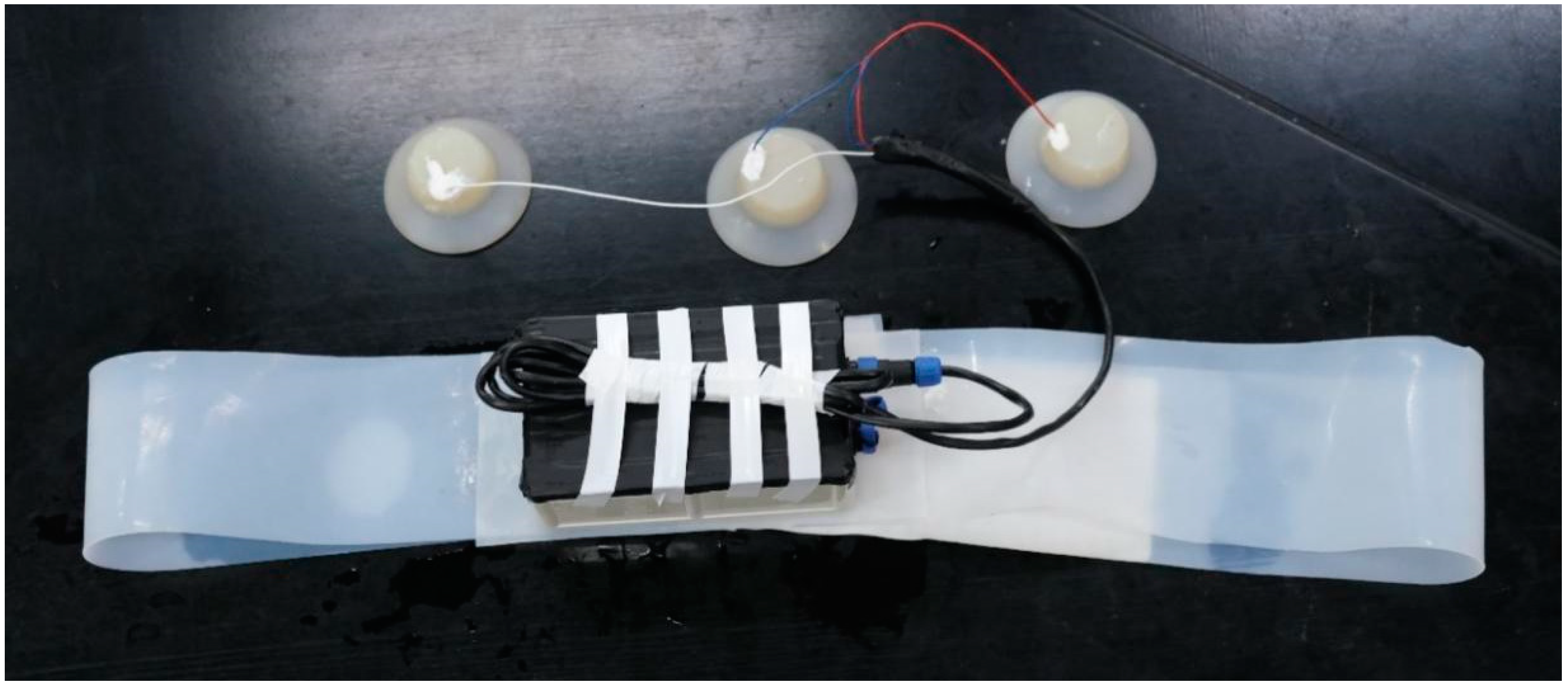 Sensors 21 03336 g001