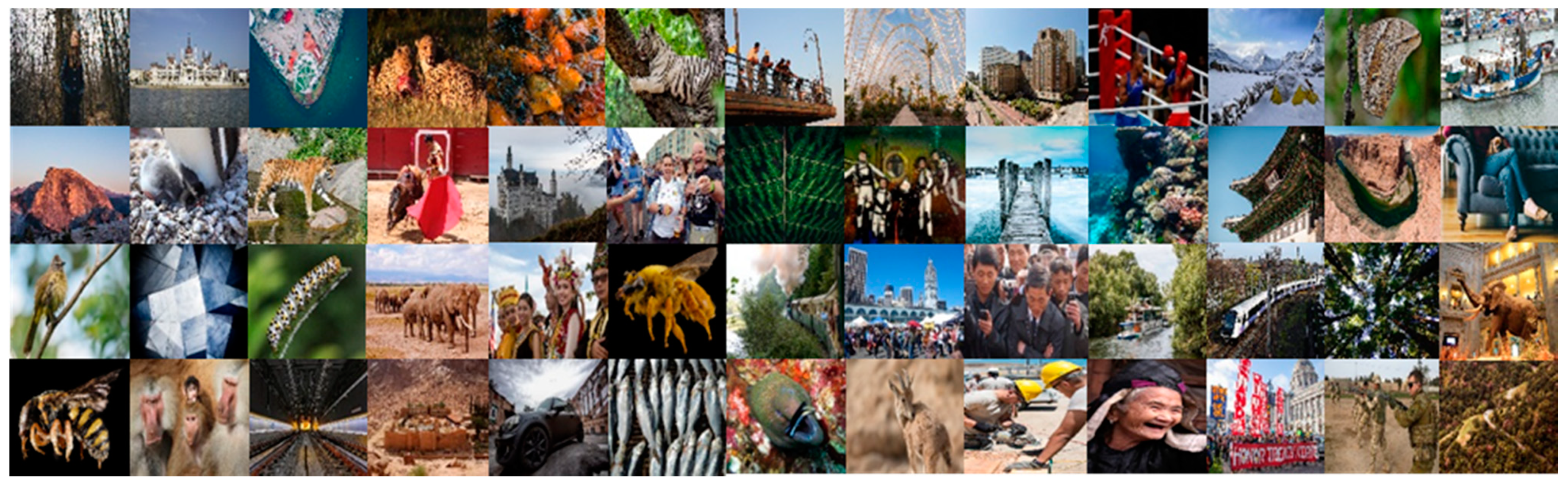 Sensors 21 03351 g005 Sensors 21 03351 g005