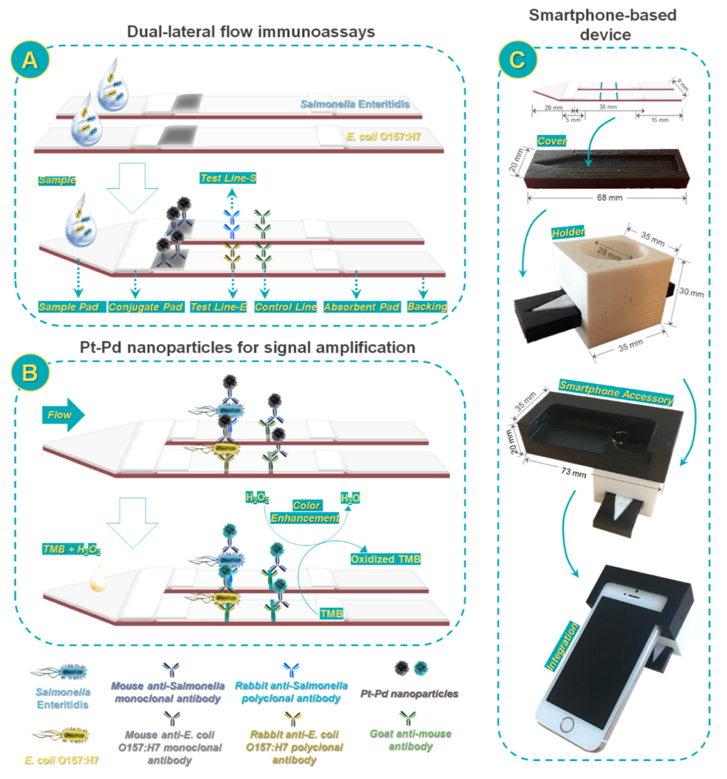 Sensors 21 03358 g006