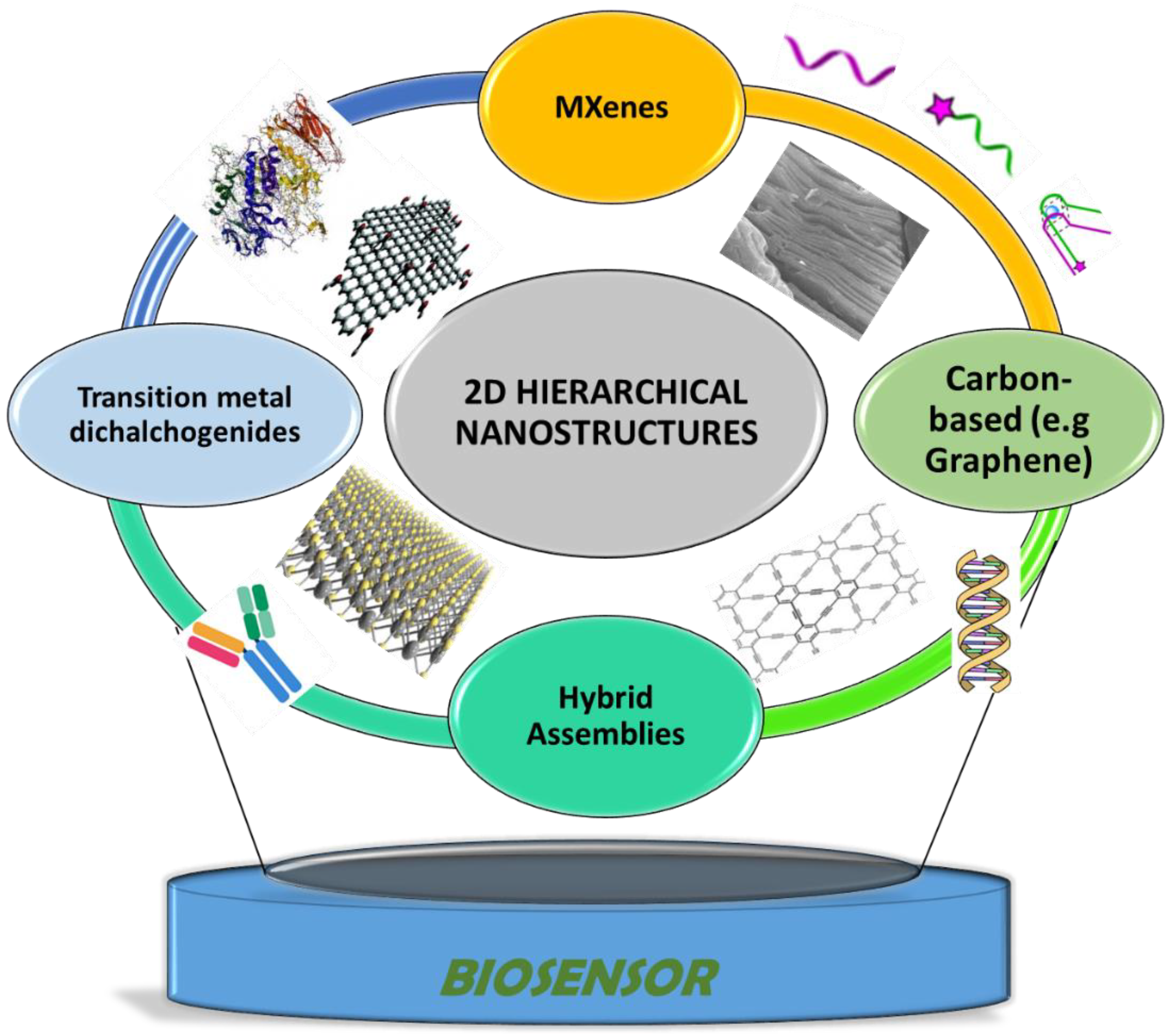 Sensors 21 03369 g001 Sensors 21 03369 g001