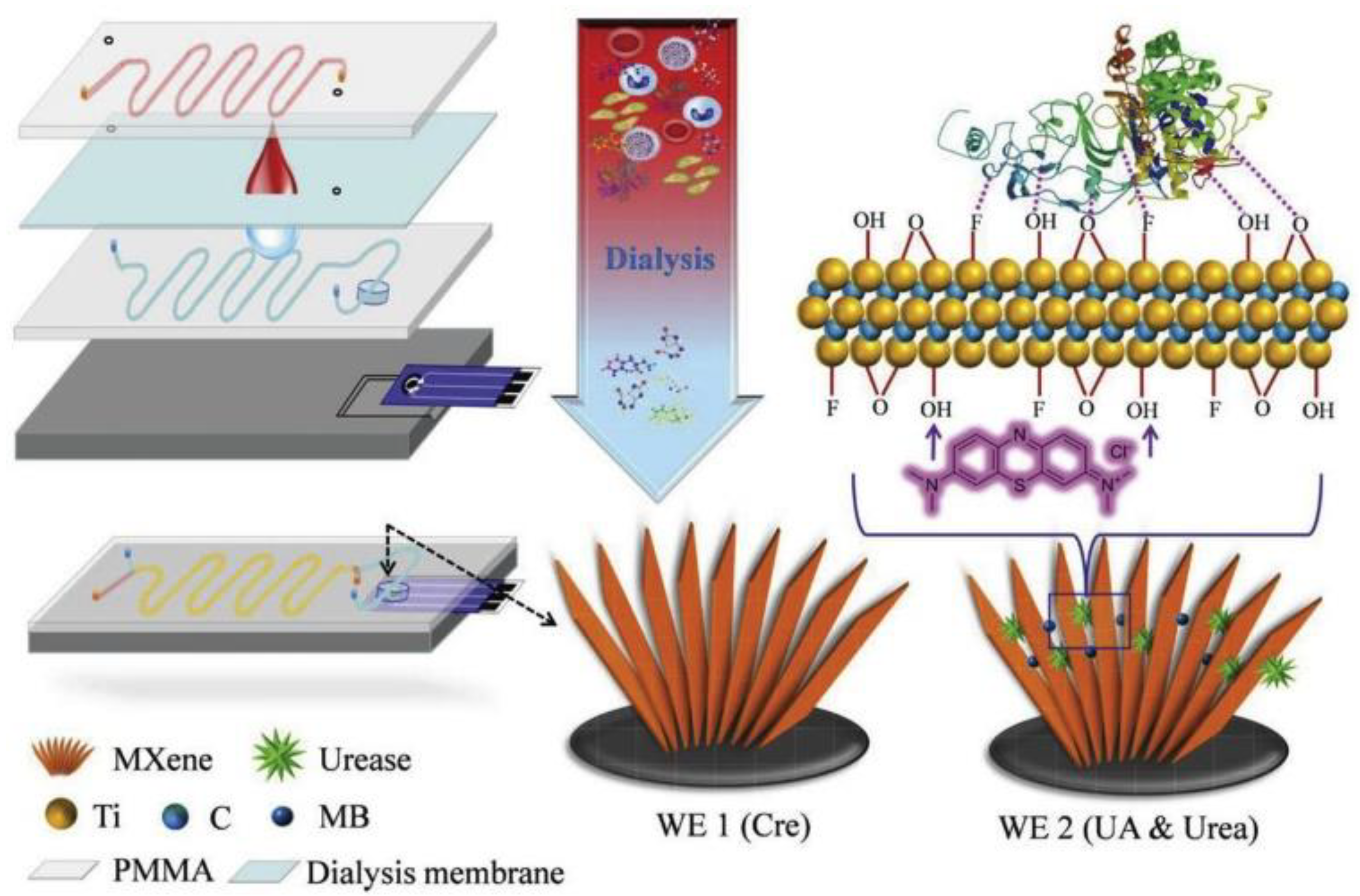 Sensors 21 03369 g004 Sensors 21 03369 g004