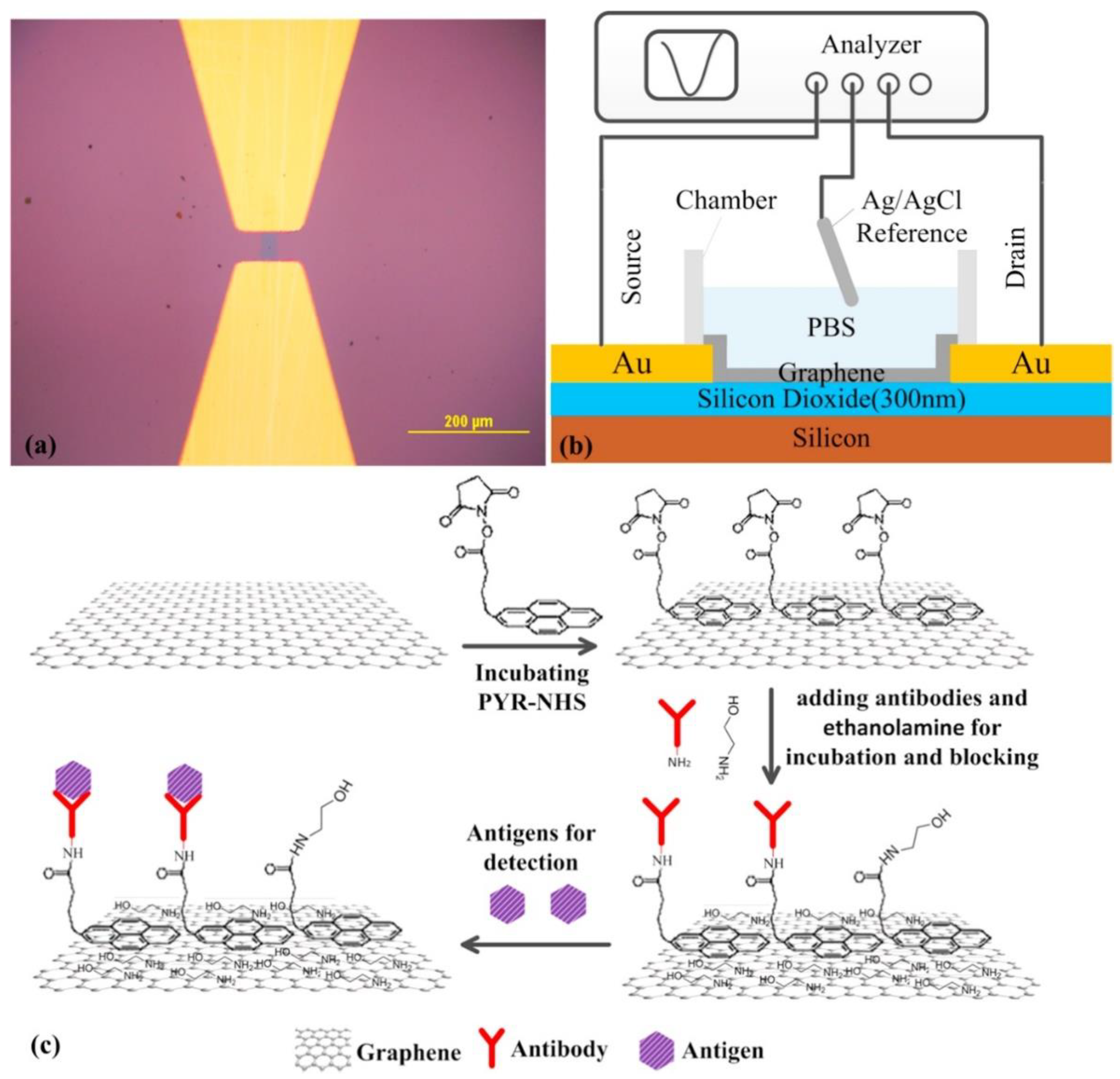 Sensors 21 03369 g008 Sensors 21 03369 g008