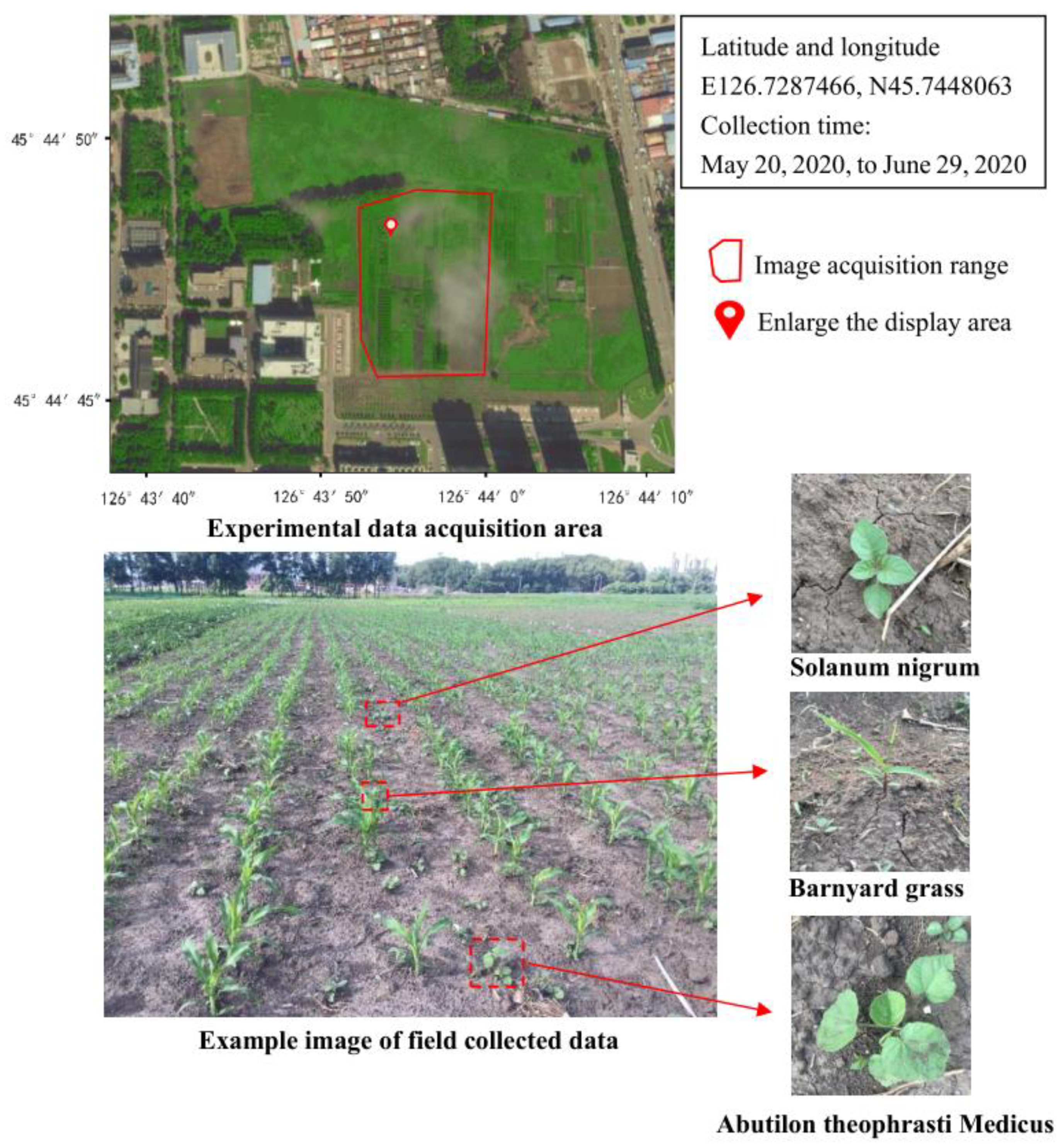 Sensors 21 03389 g001 Sensors 21 03389 g001