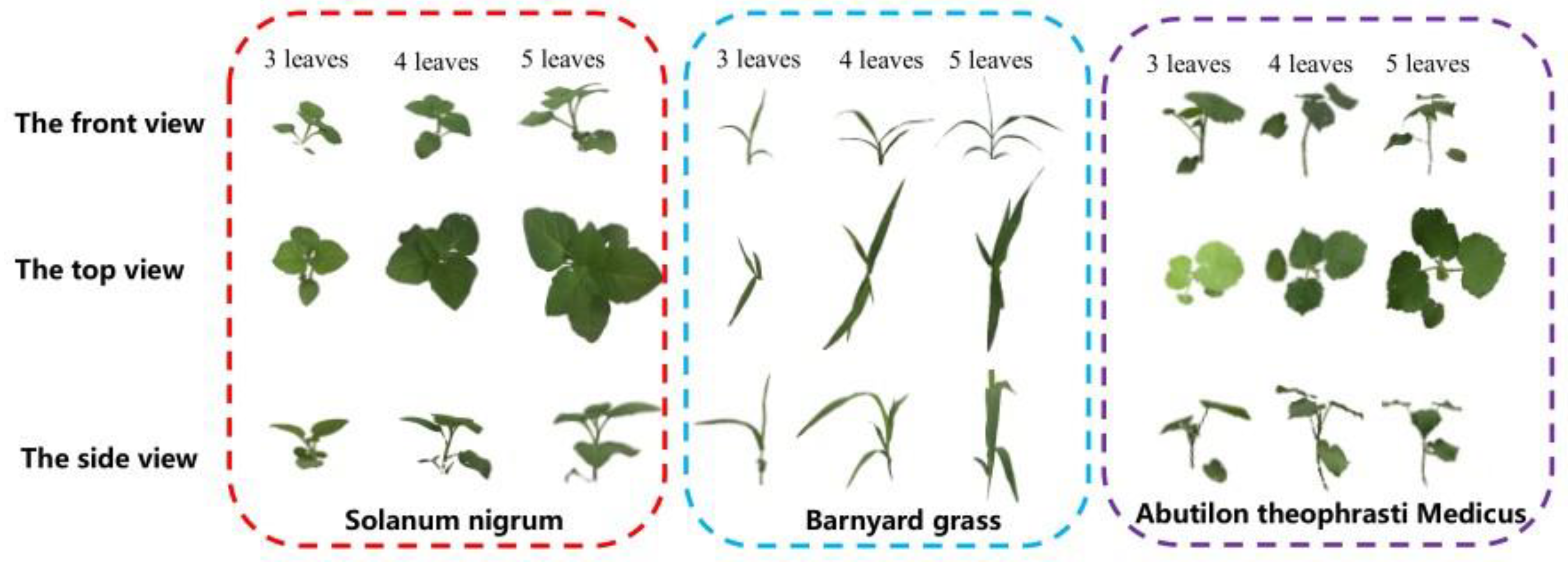Sensors 21 03389 g002 Sensors 21 03389 g002