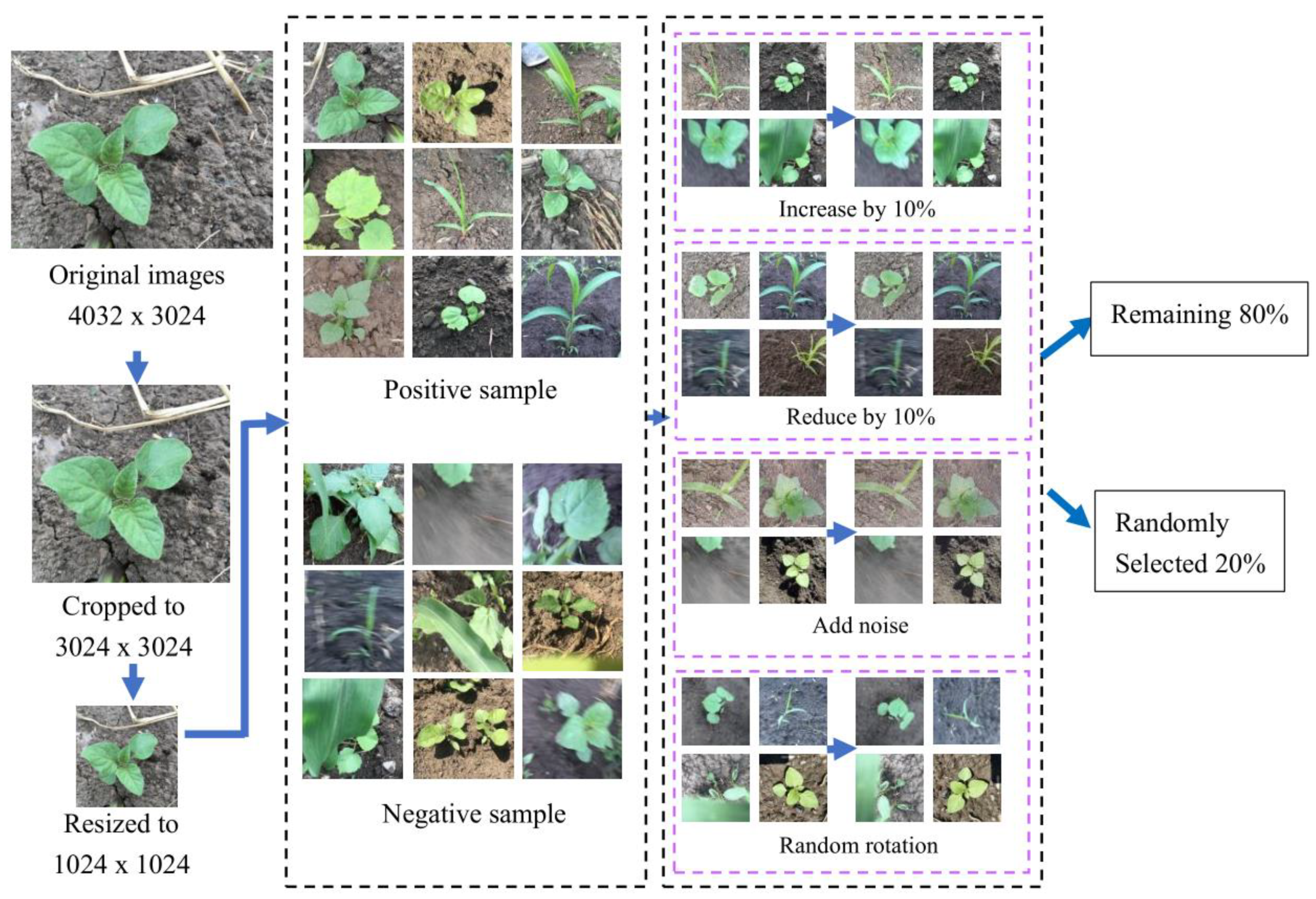 Sensors 21 03389 g003 Sensors 21 03389 g003