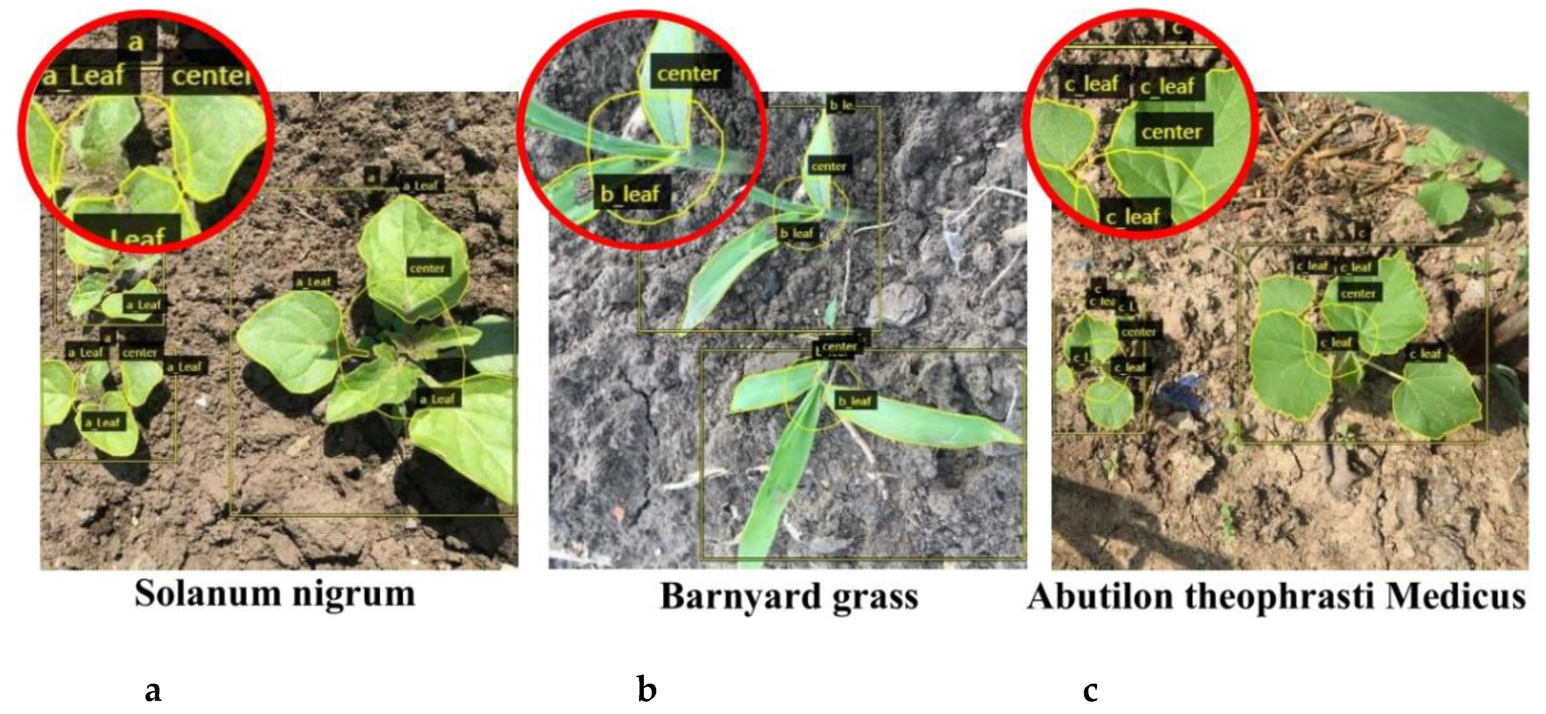 Sensors 21 03389 g004 Sensors 21 03389 g004