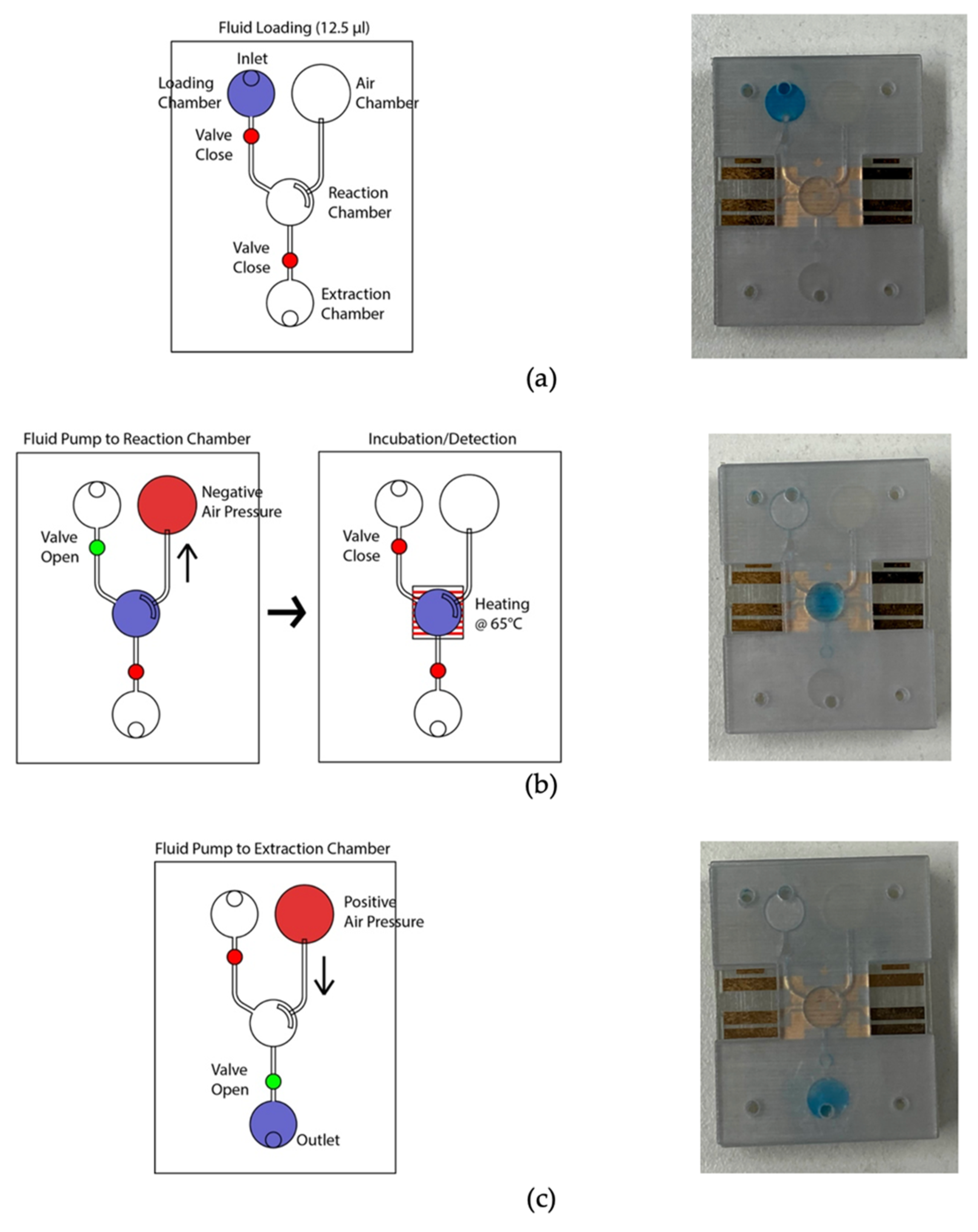 Sensors 21 03413 g005 Sensors 21 03413 g005