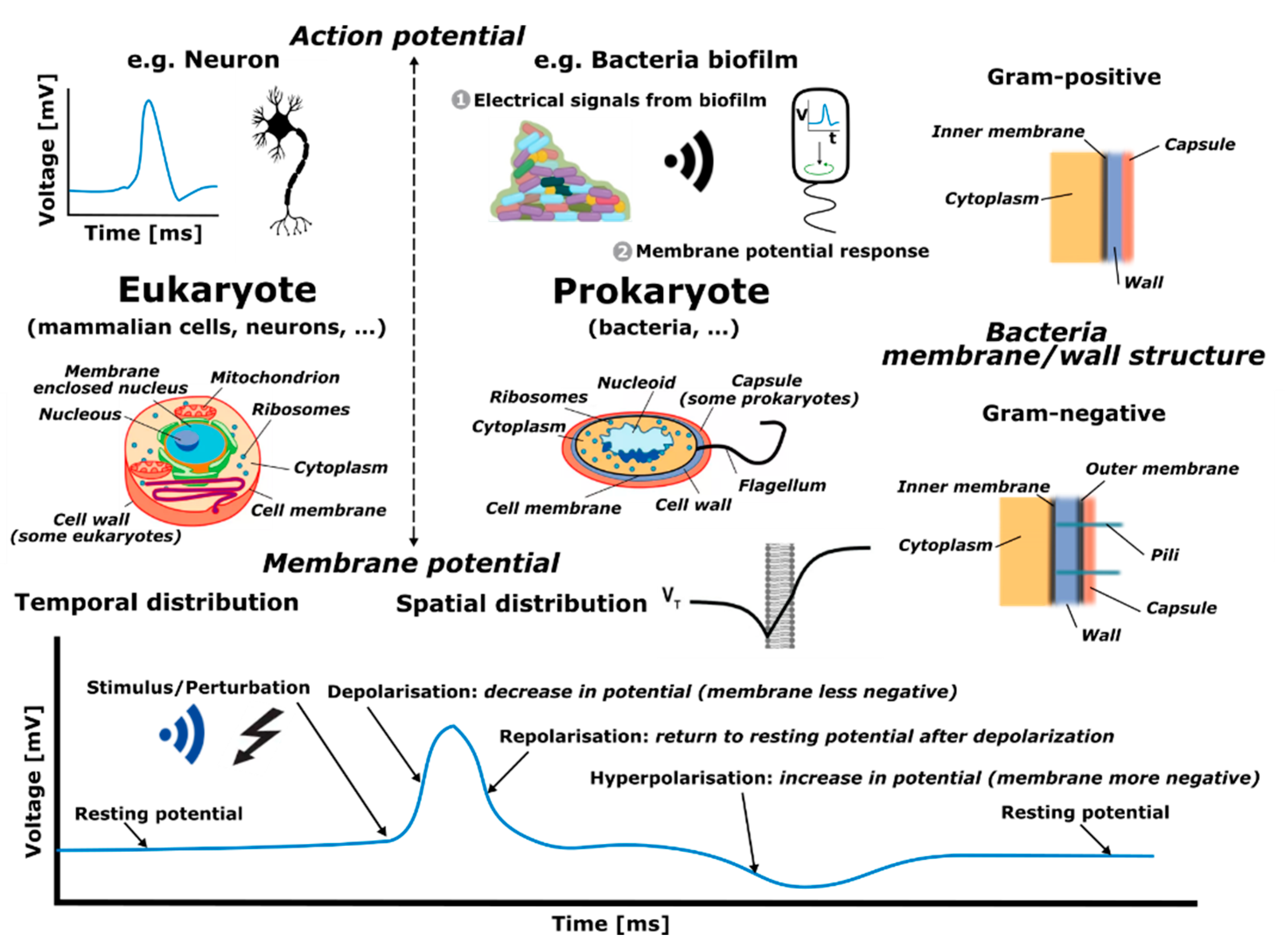 Sensors 21 03420 g001