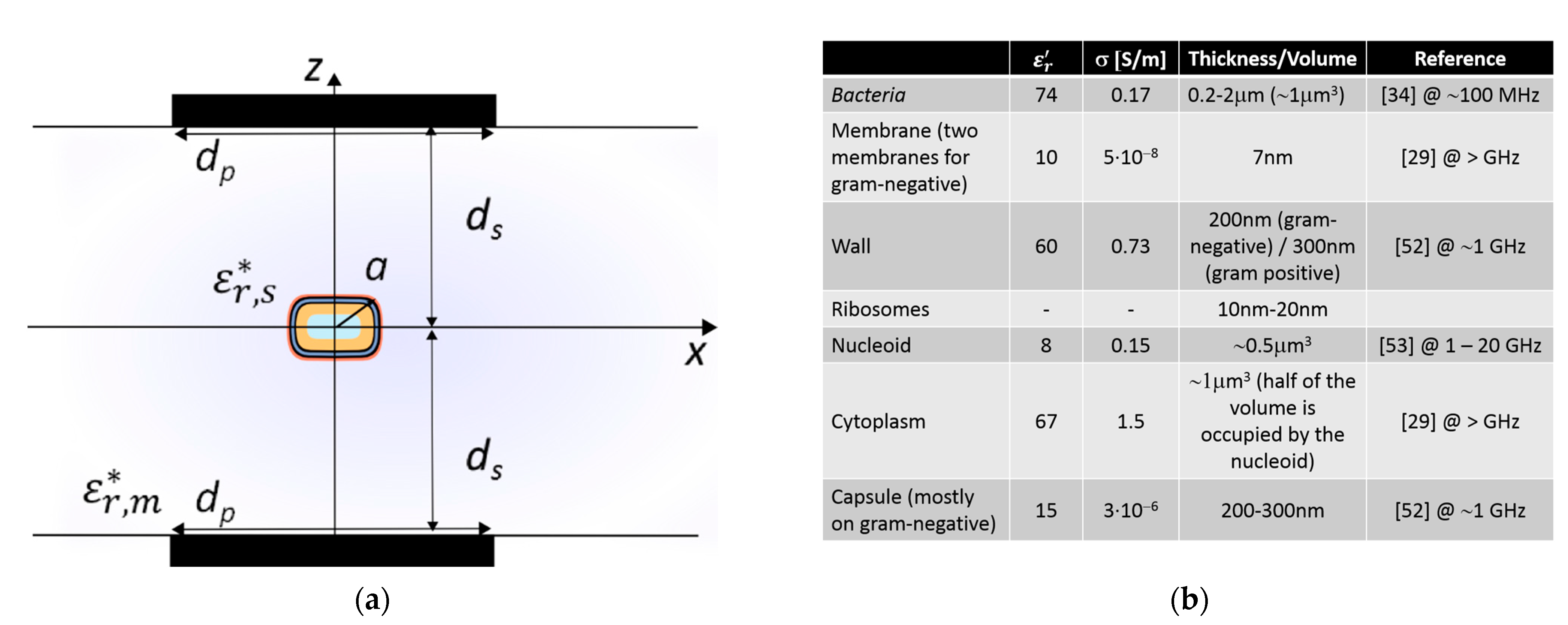 Sensors 21 03420 g005