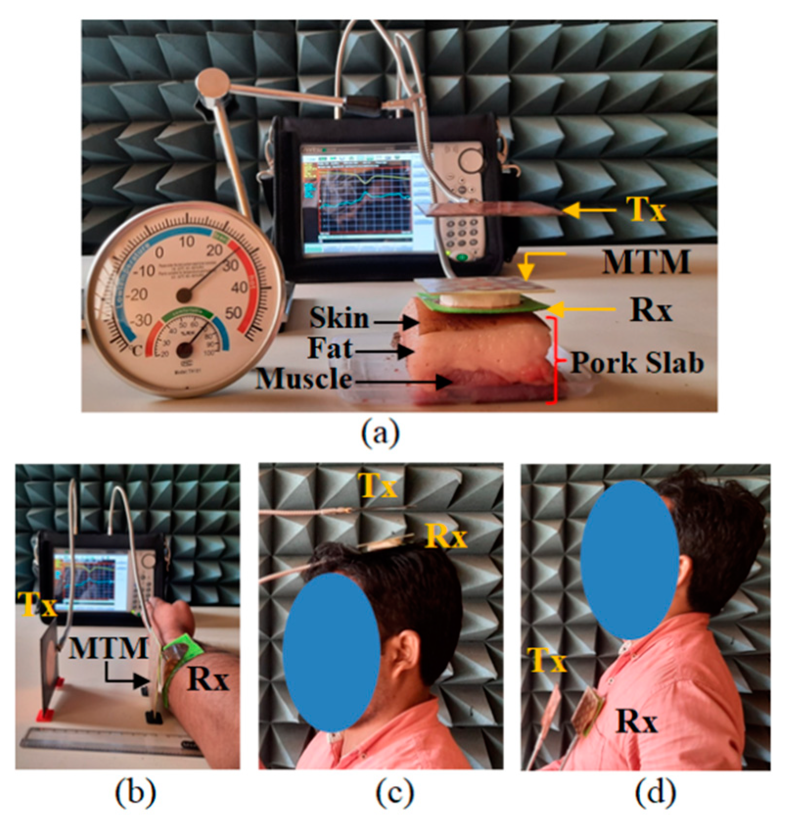 Sensors 21 03448 g019