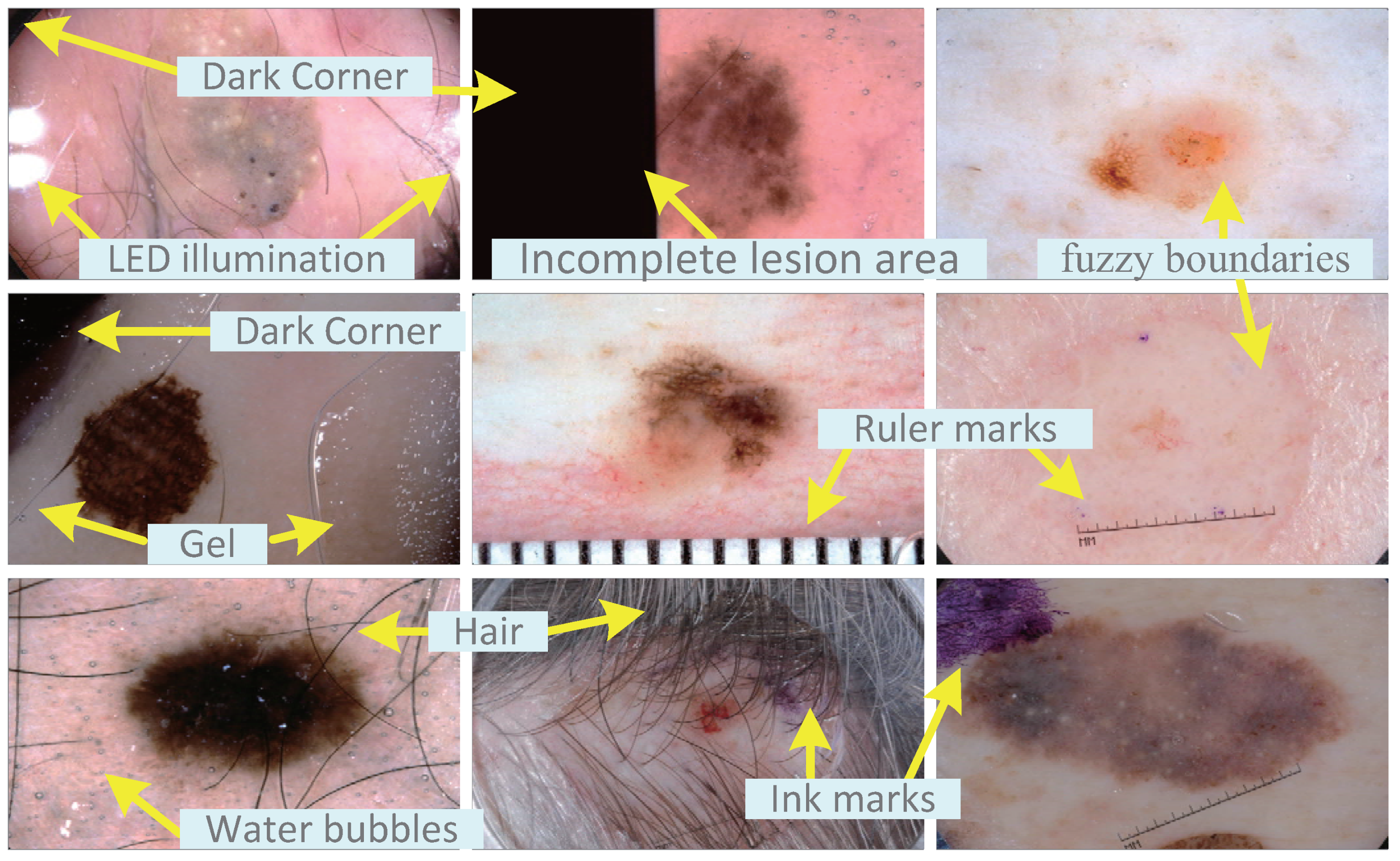 Sensors 21 03462 g001