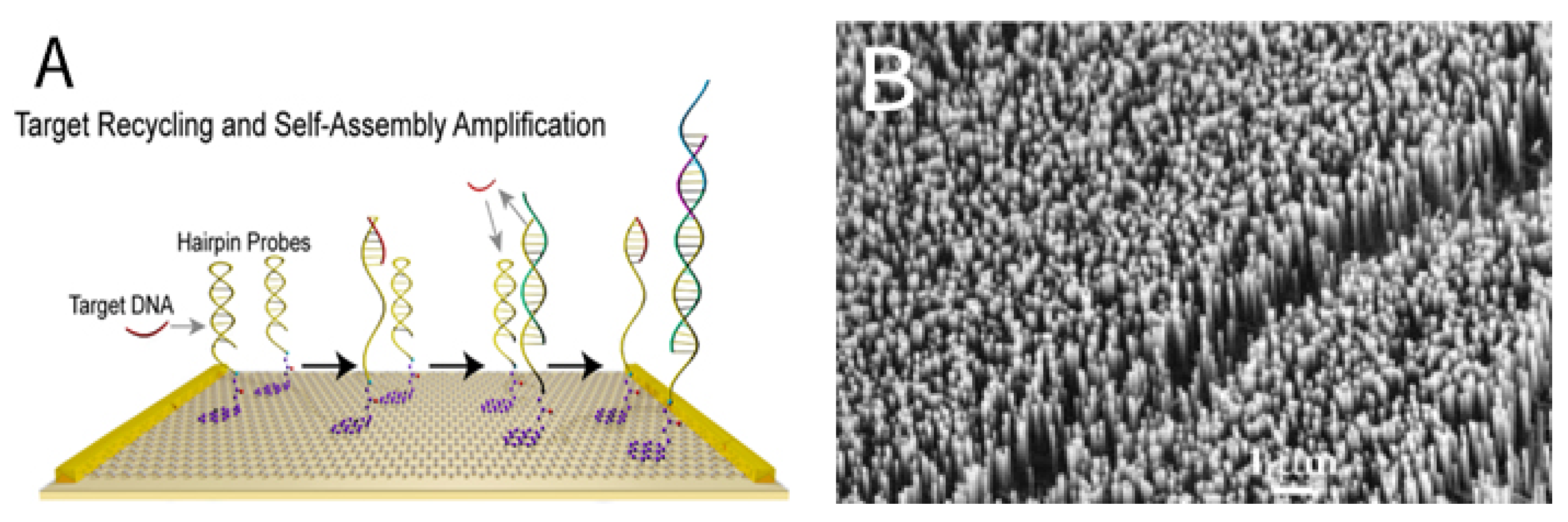 Sensors 21 03467 g001
