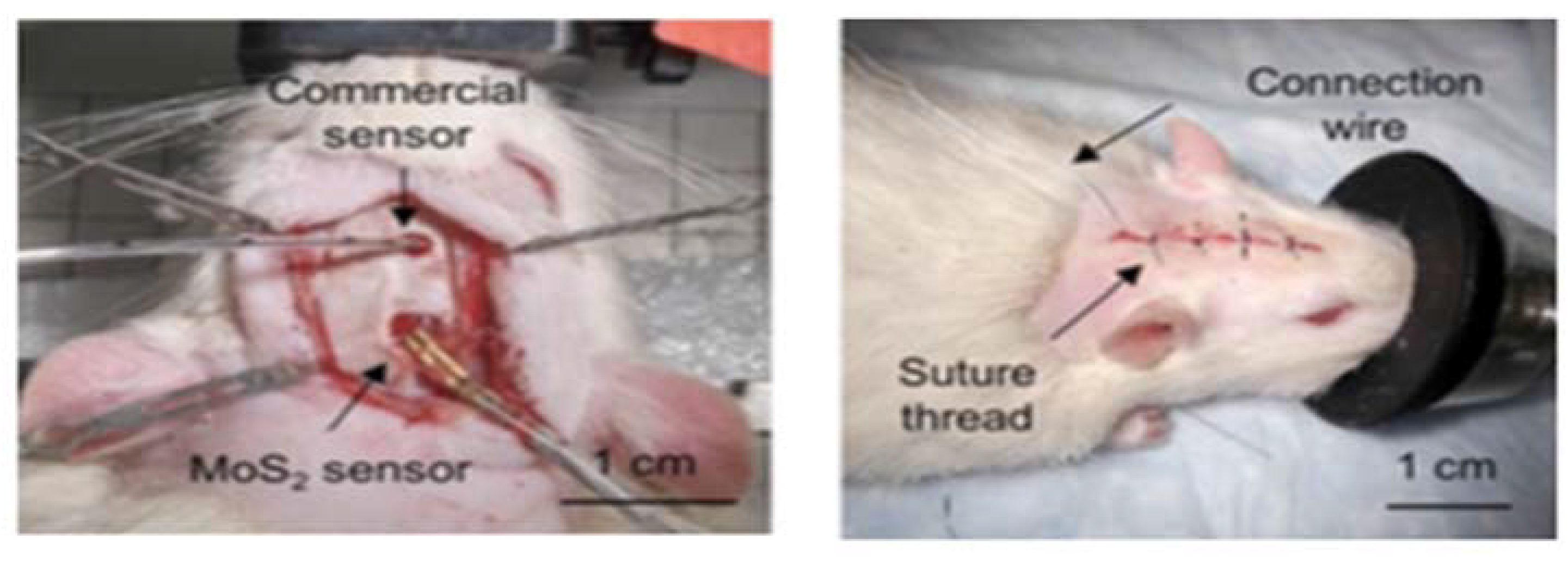 Sensors 21 03467 g004