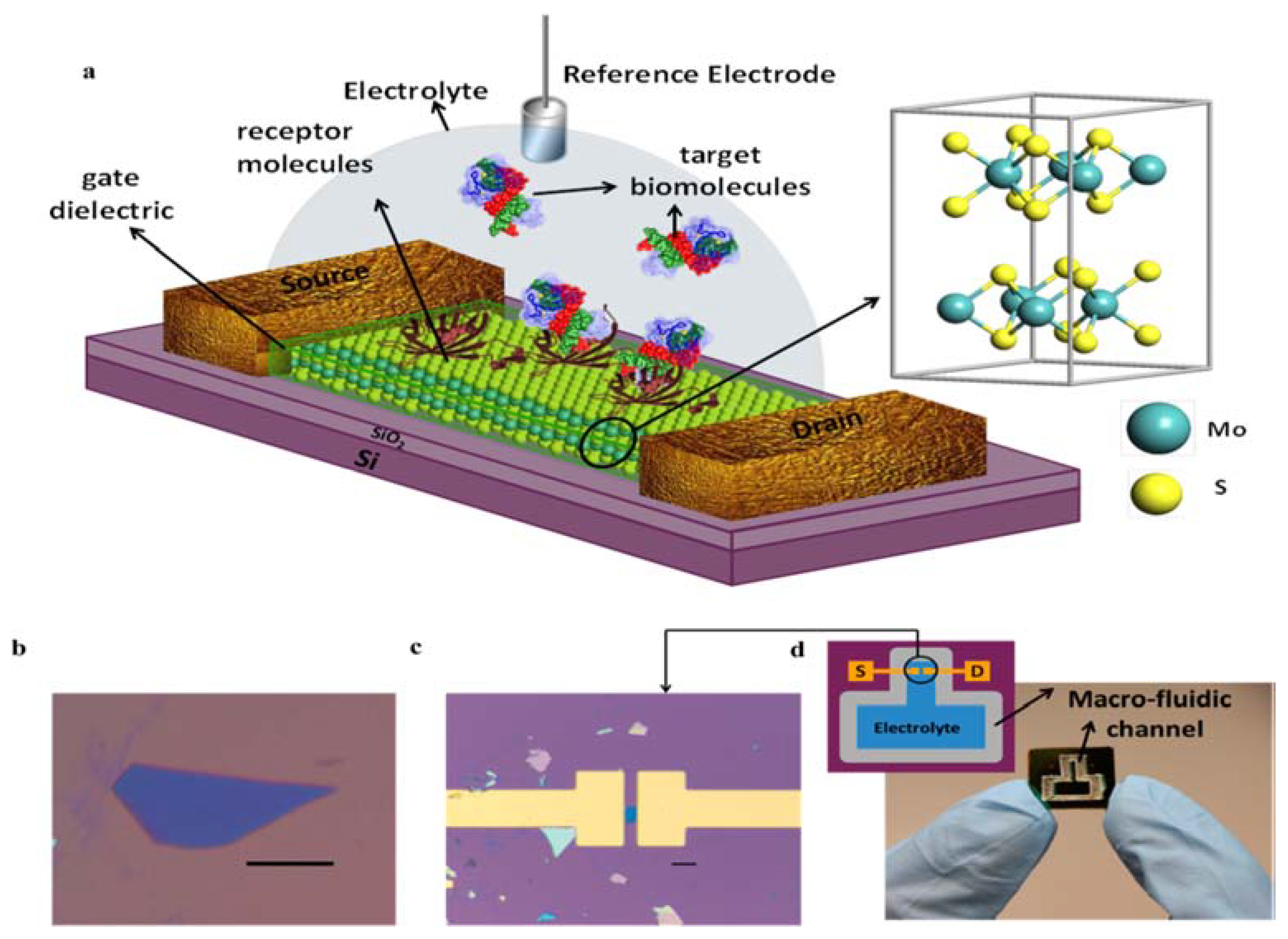 Sensors 21 03467 g005