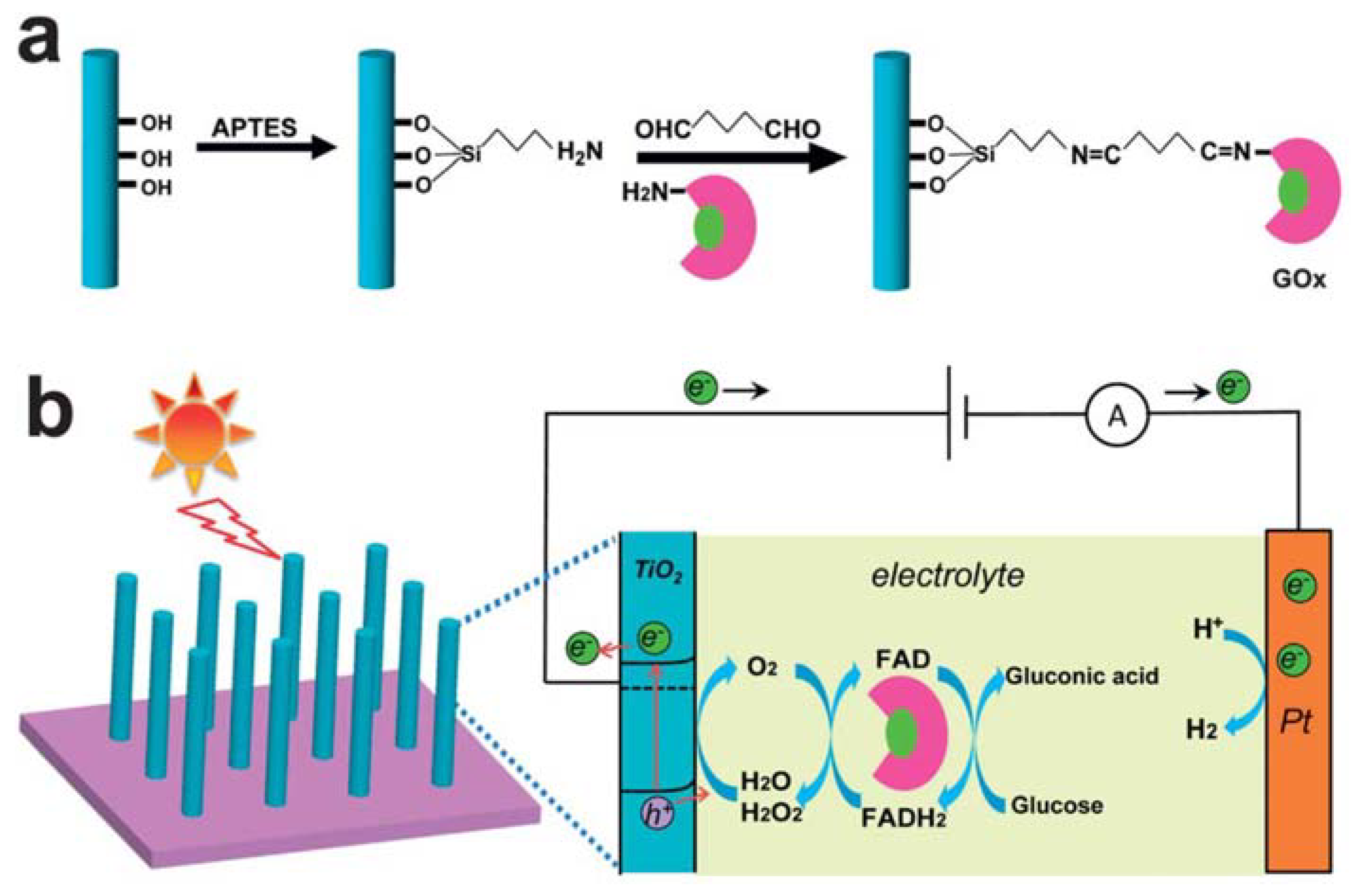 Sensors 21 03467 g009