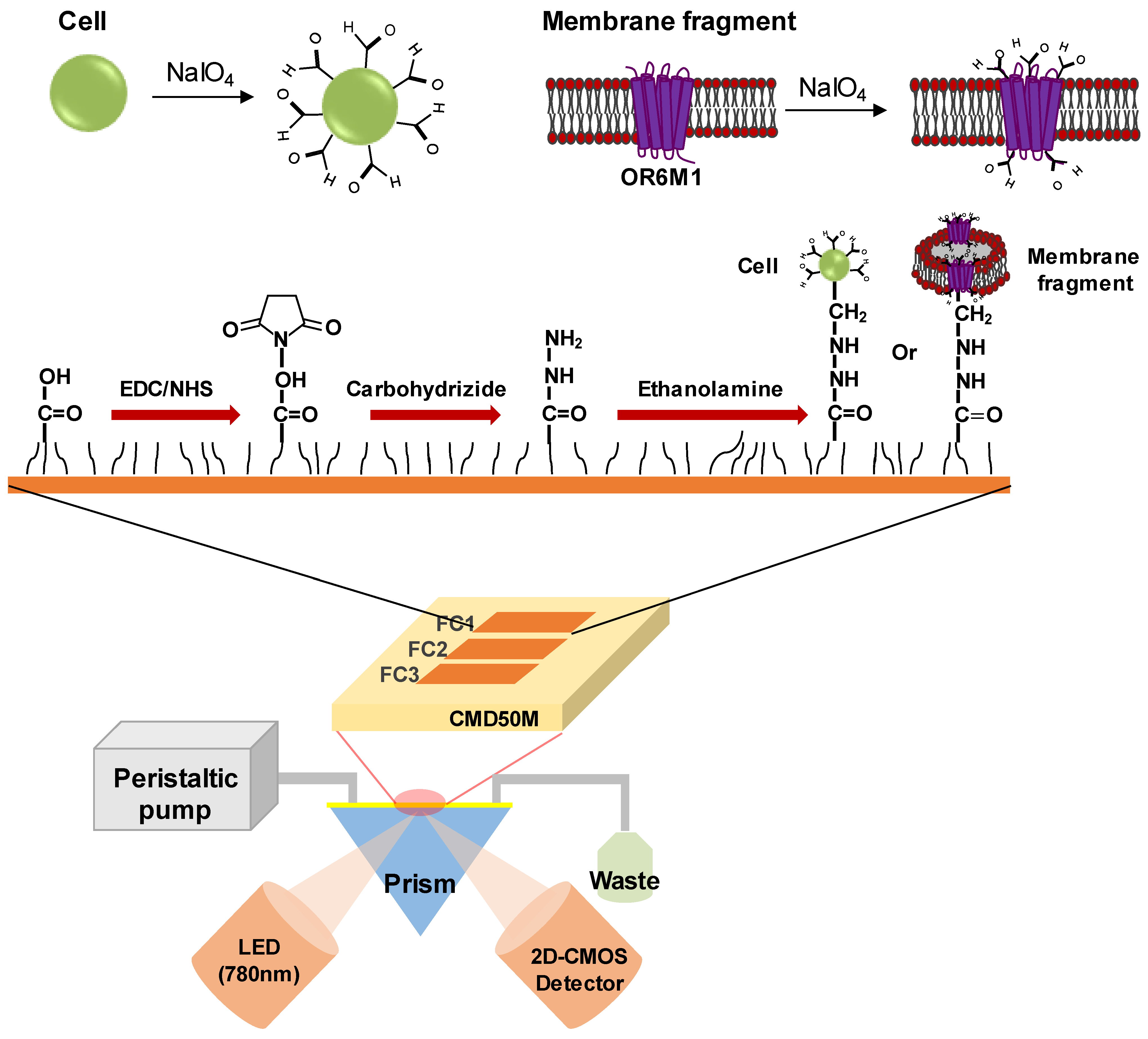 Sensors 21 03468 g001