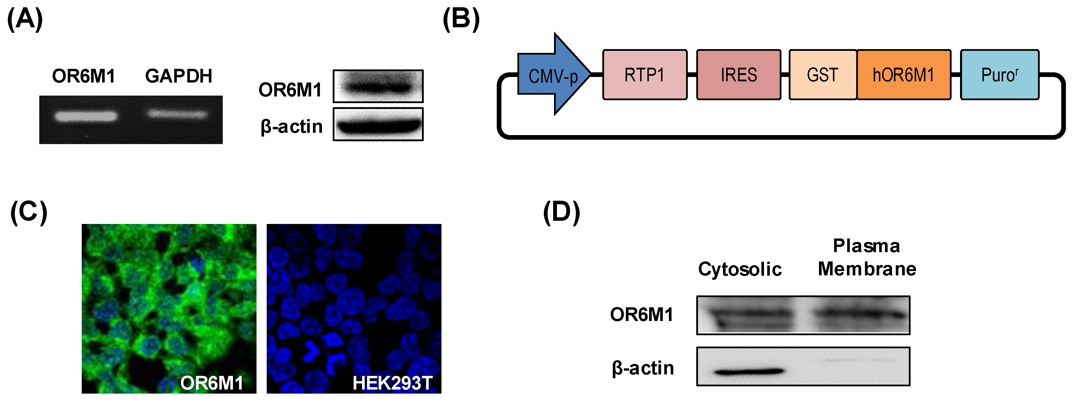 Sensors 21 03468 g002