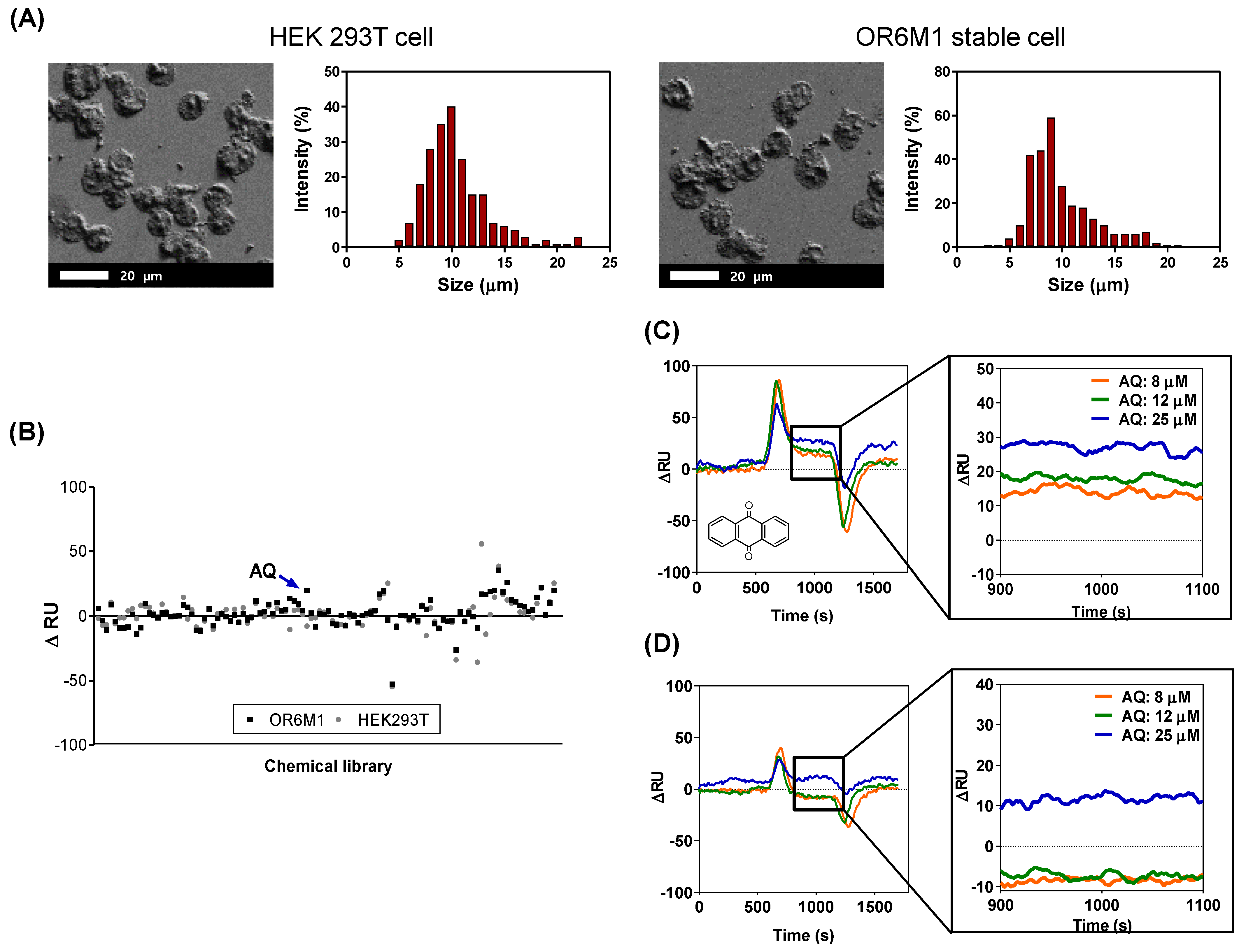 Sensors 21 03468 g003