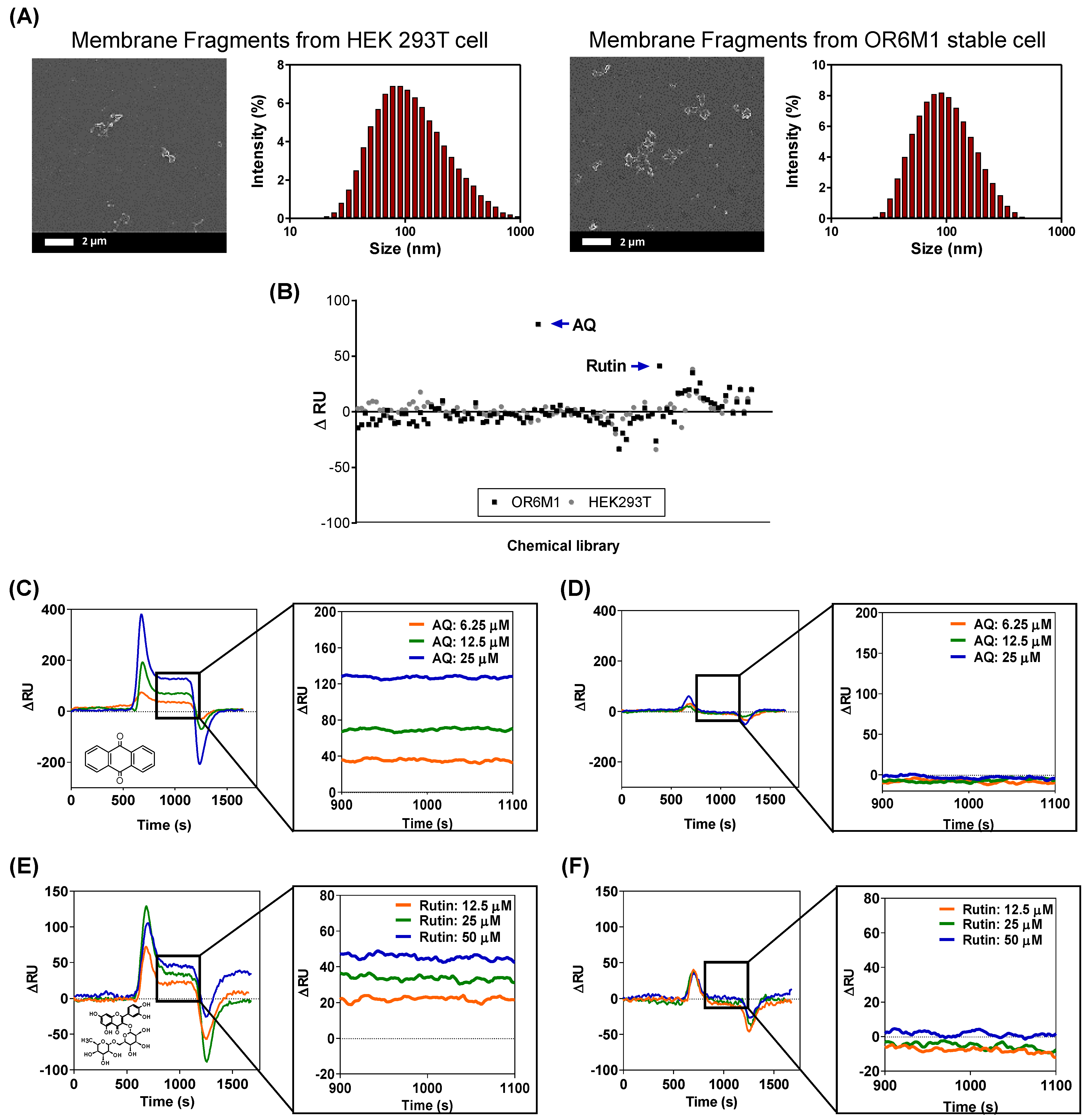 Sensors 21 03468 g004
