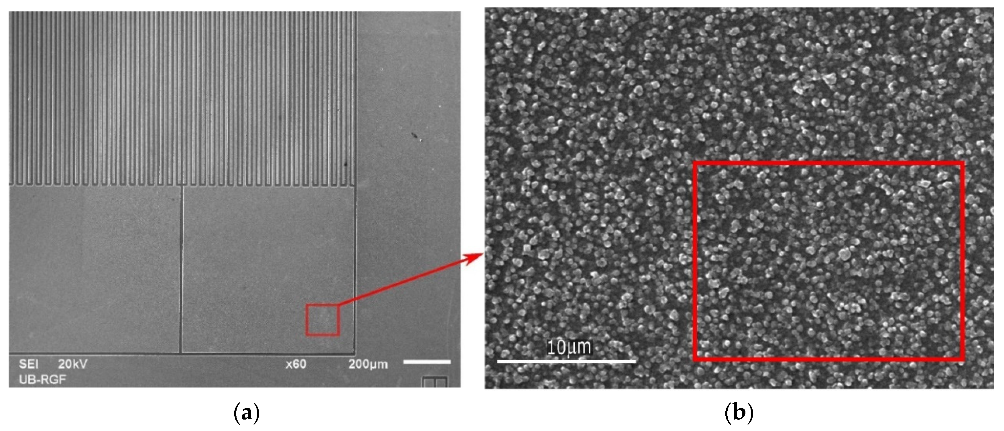 Sensors 21 03486 g003