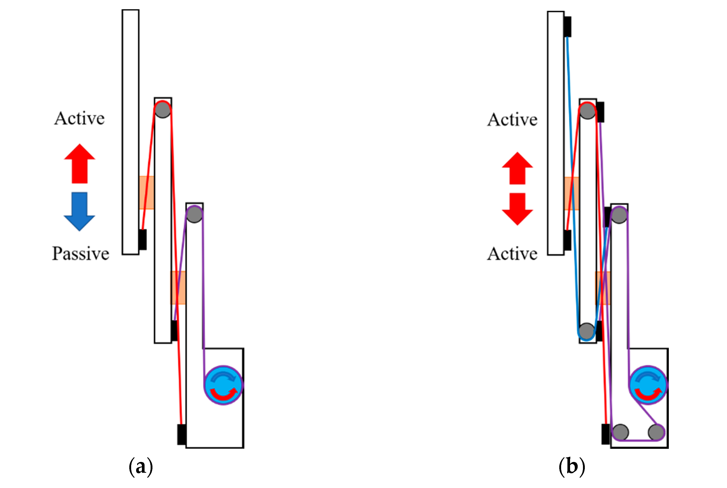 Sensors 21 03498 g002