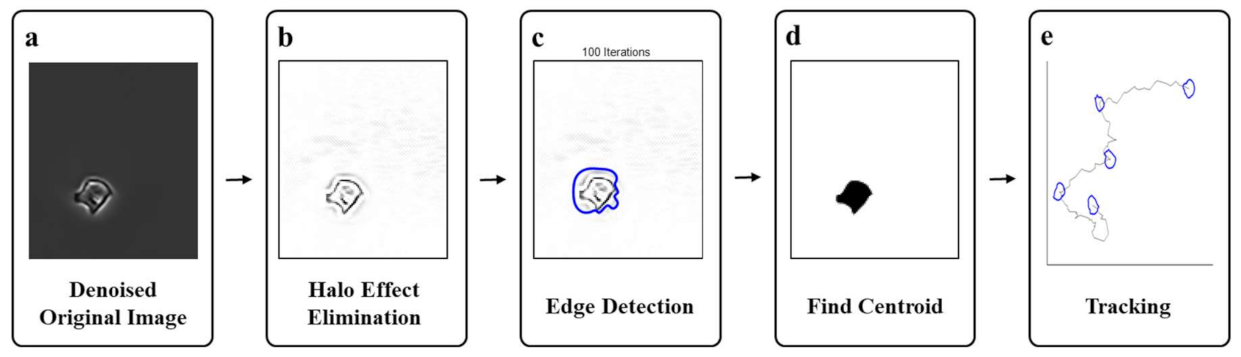 Sensors 21 03516 g001