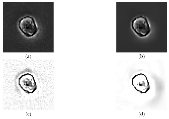 Sensors 21 03516 g005